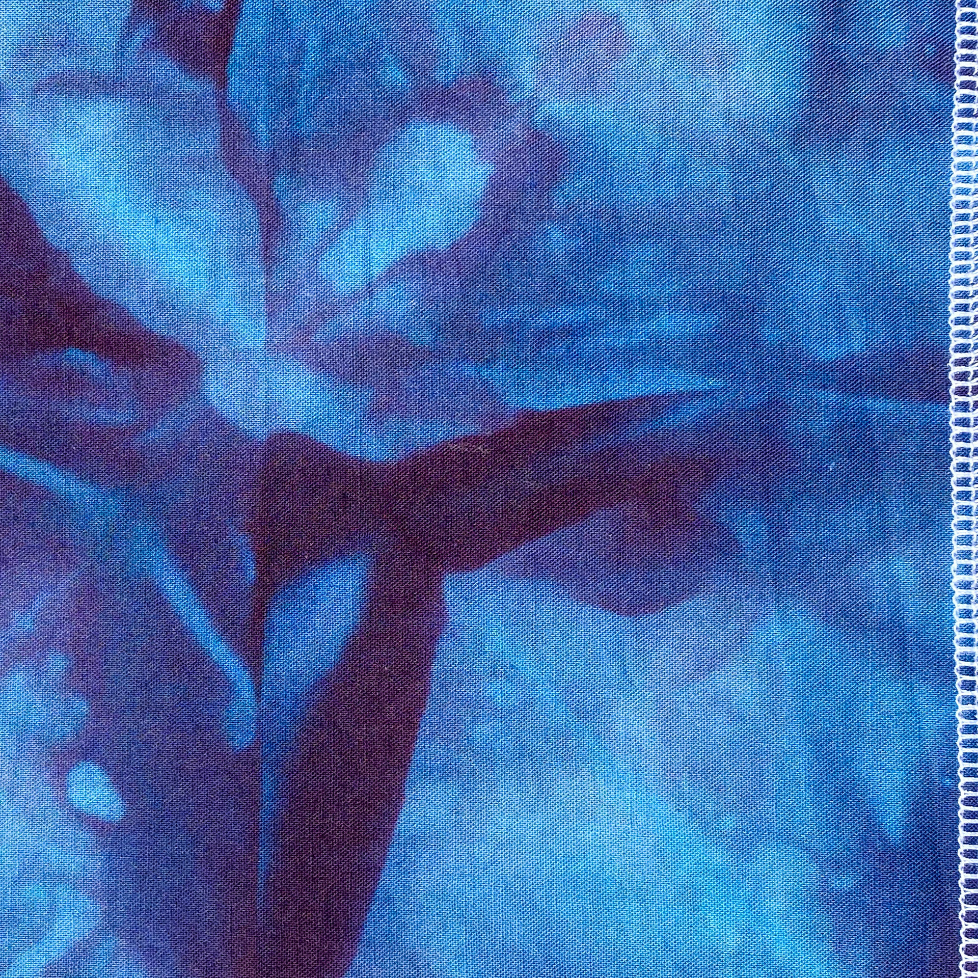 Low Immersion Dyeing on Cotton, Detailed