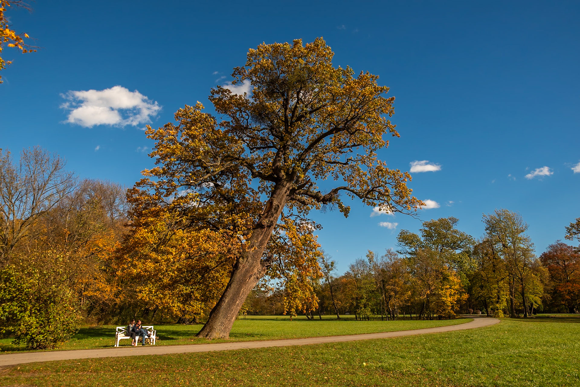 Schloss Laxenburg