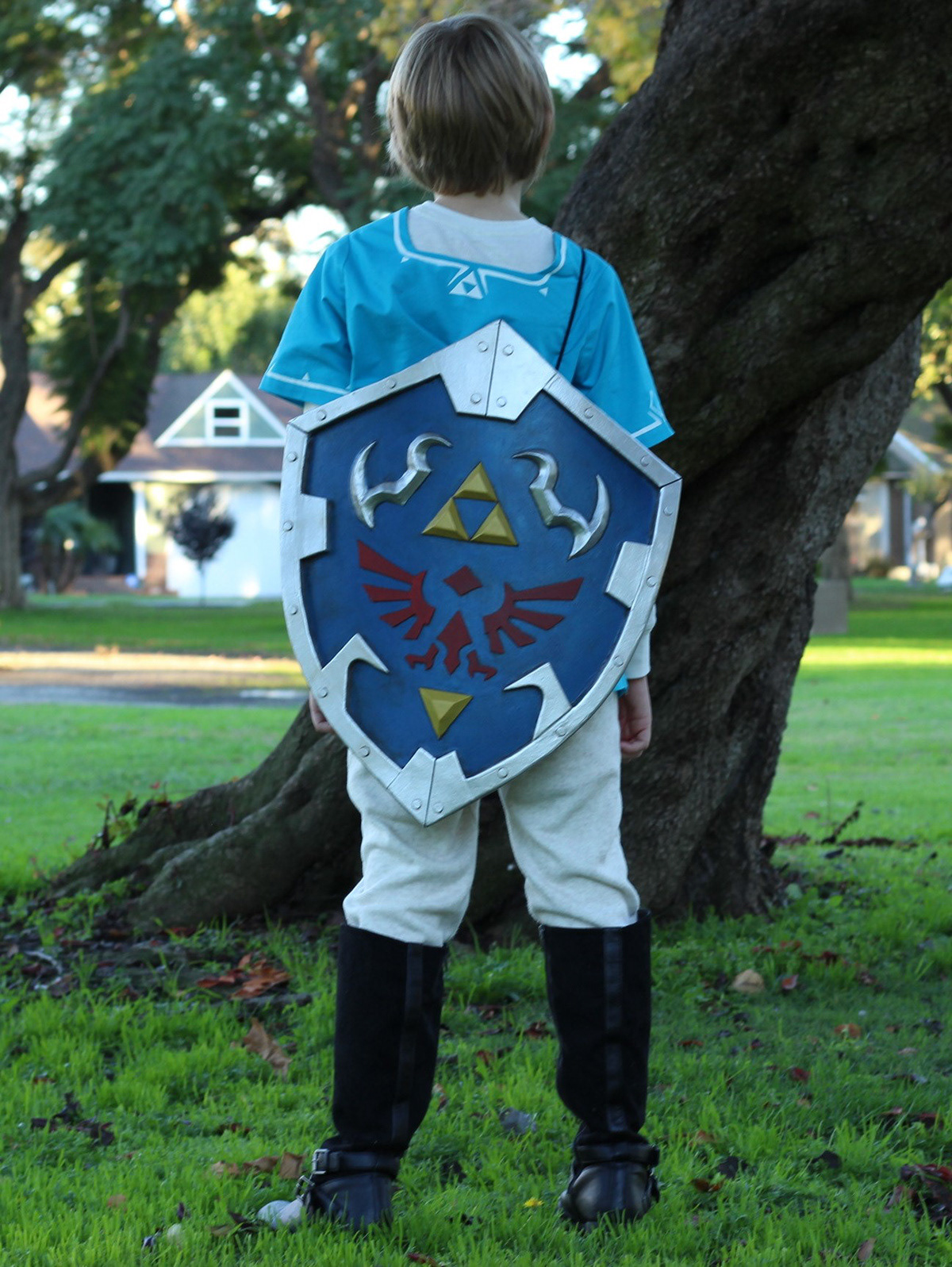Costume of Link from The Legend of Zelda Breath of the Wild