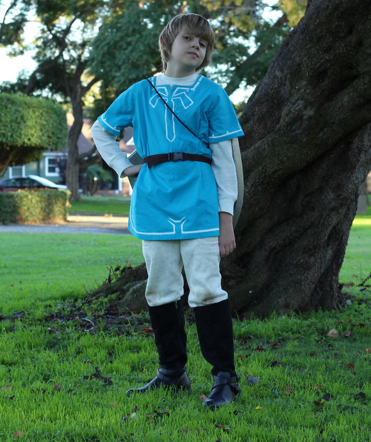 Costume of Link from The Legend of Zelda Breath of the Wild