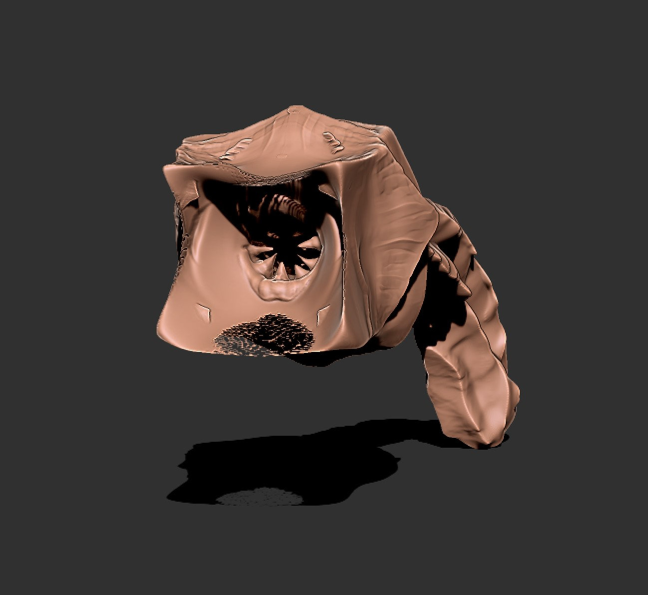 square sand worm