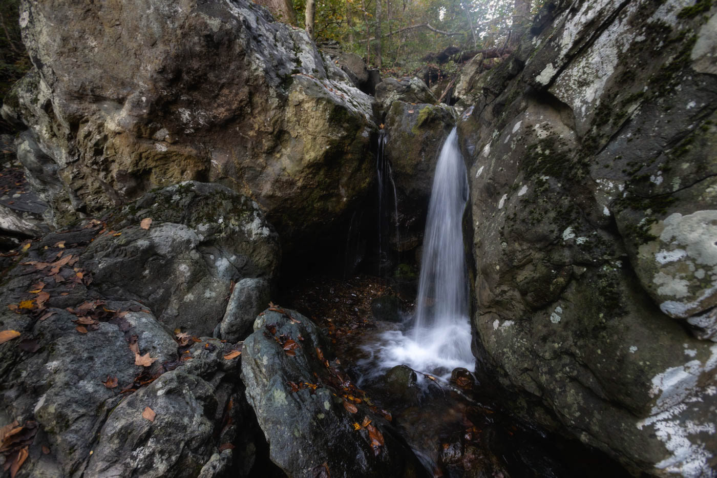 Along Cedar Run Trail