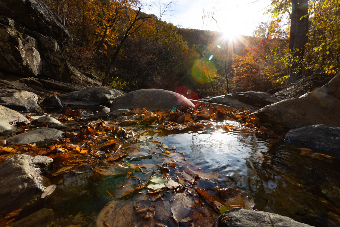Whiteoak Canyon Falls