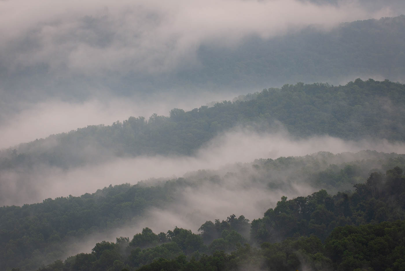 Fog from Skyline Drive