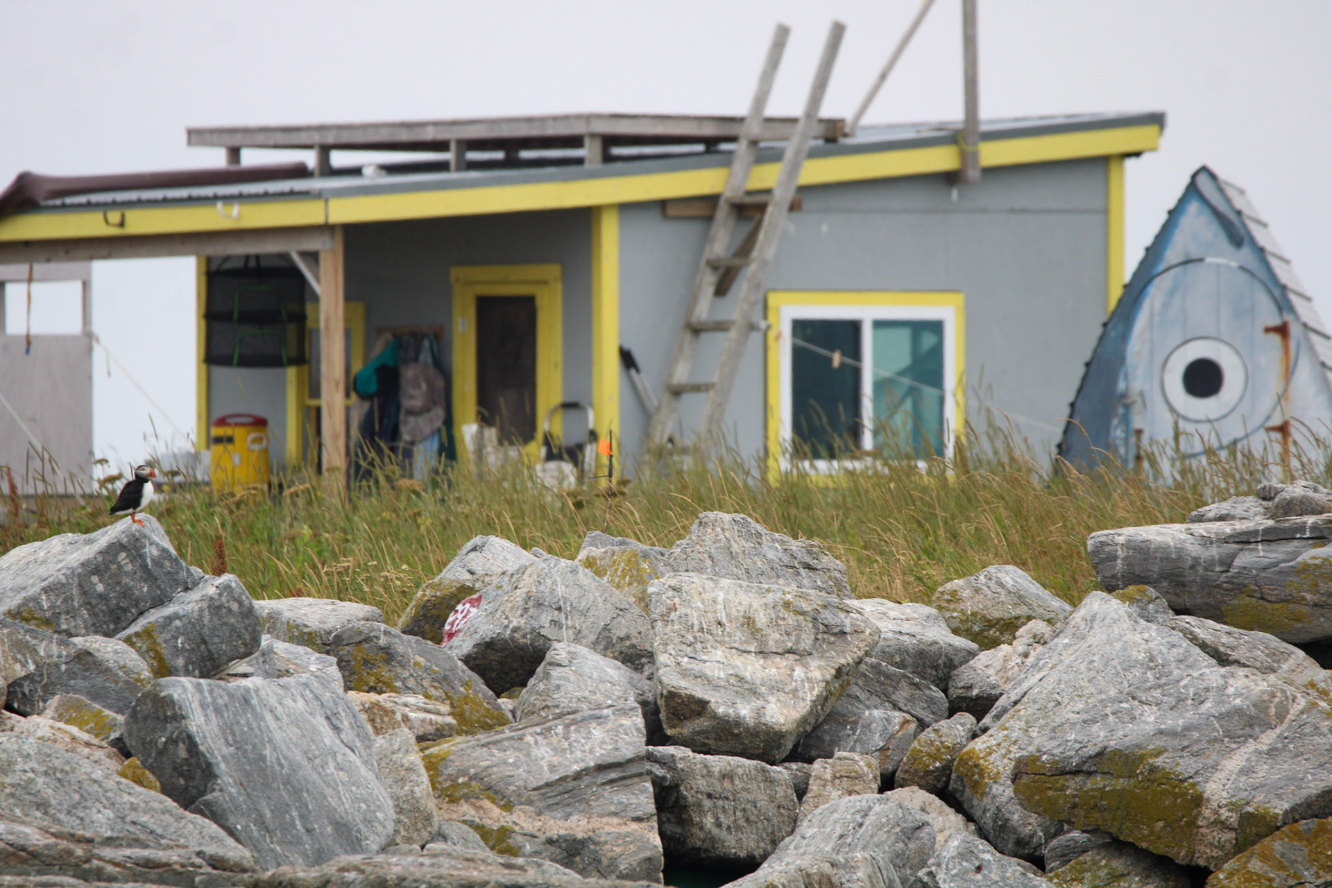 Eastern Egg Rock Research Station