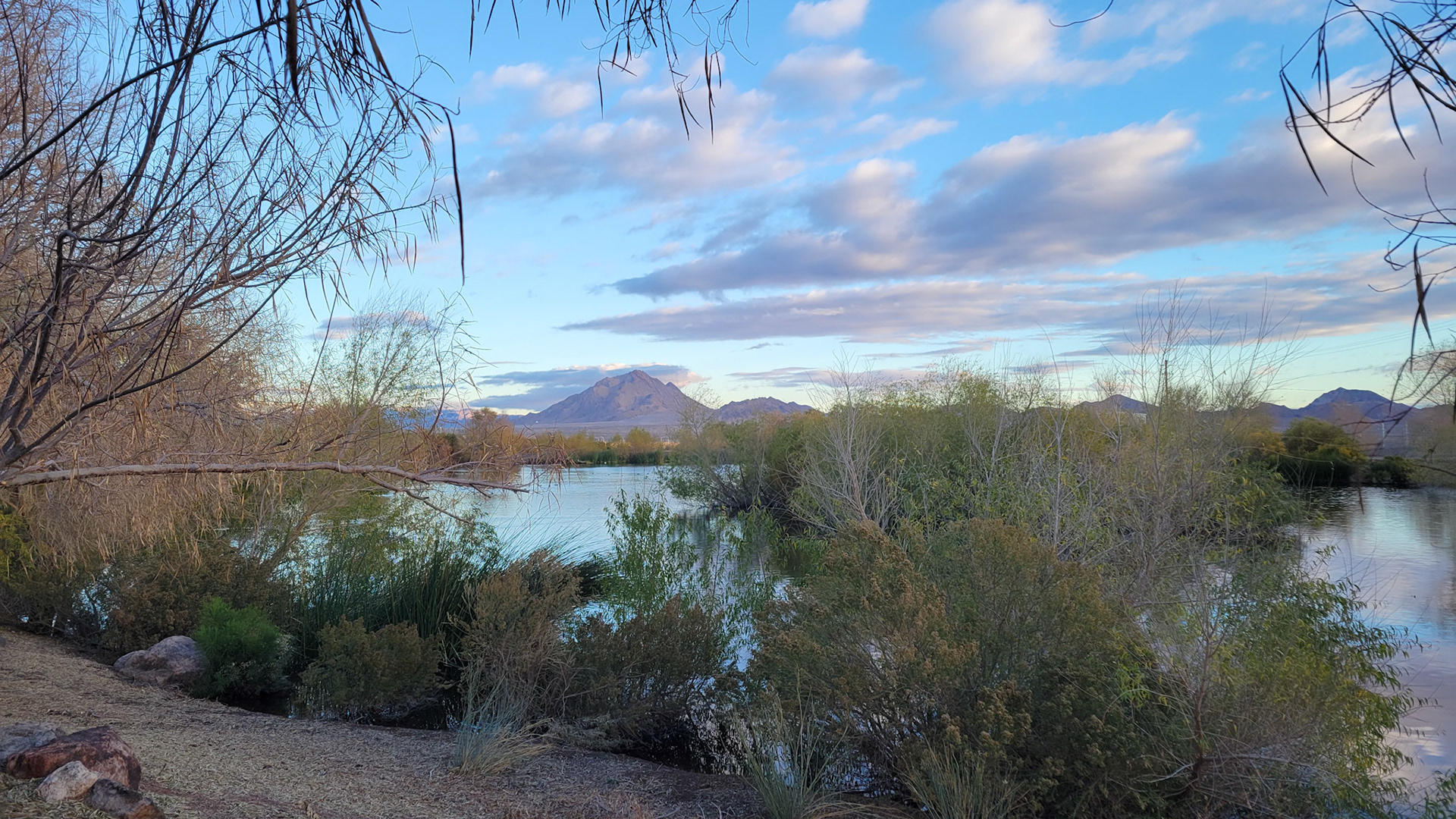Henderson Bird Viewing Preserve
