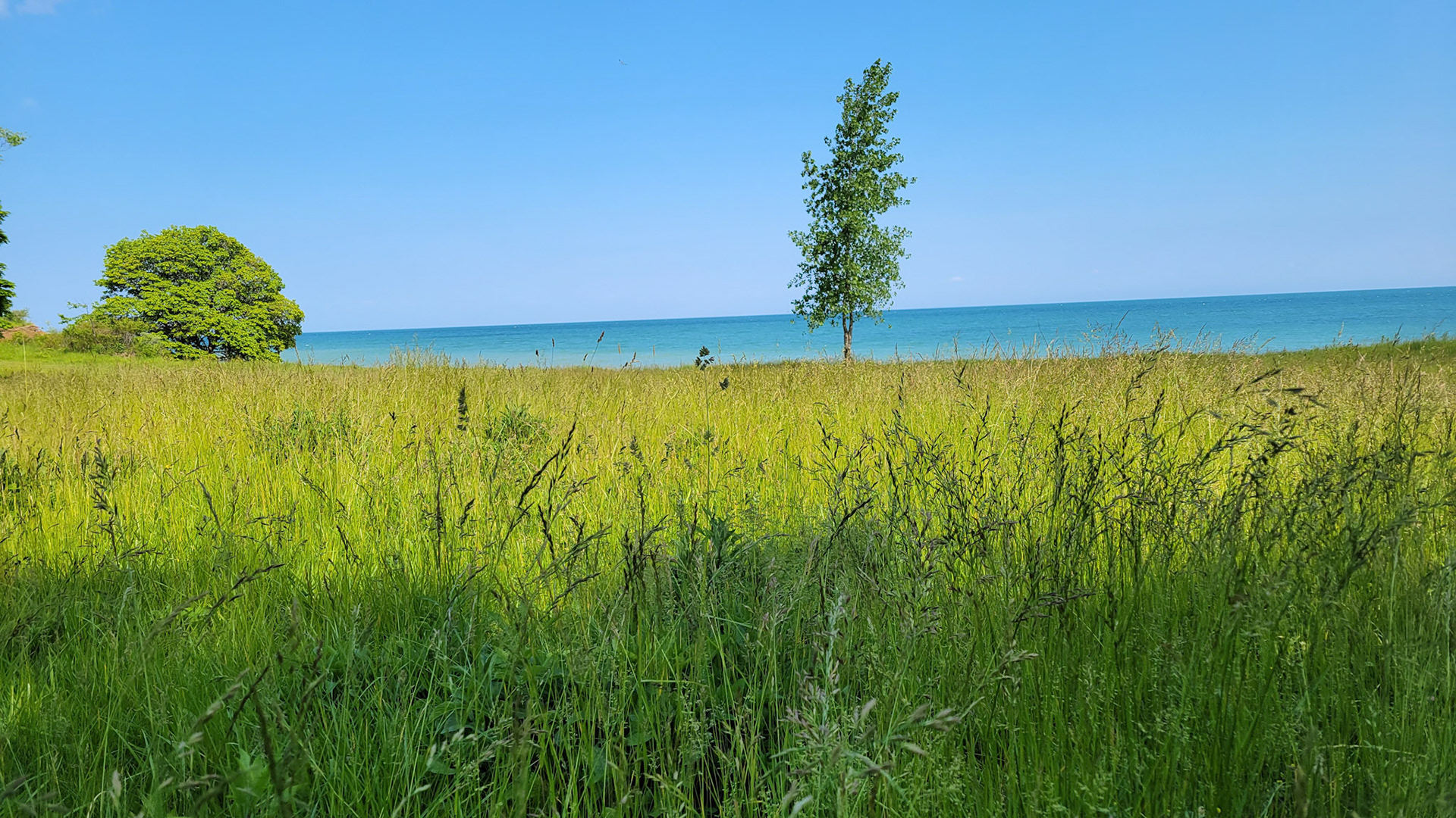 4 Mile Creek Campground, NY