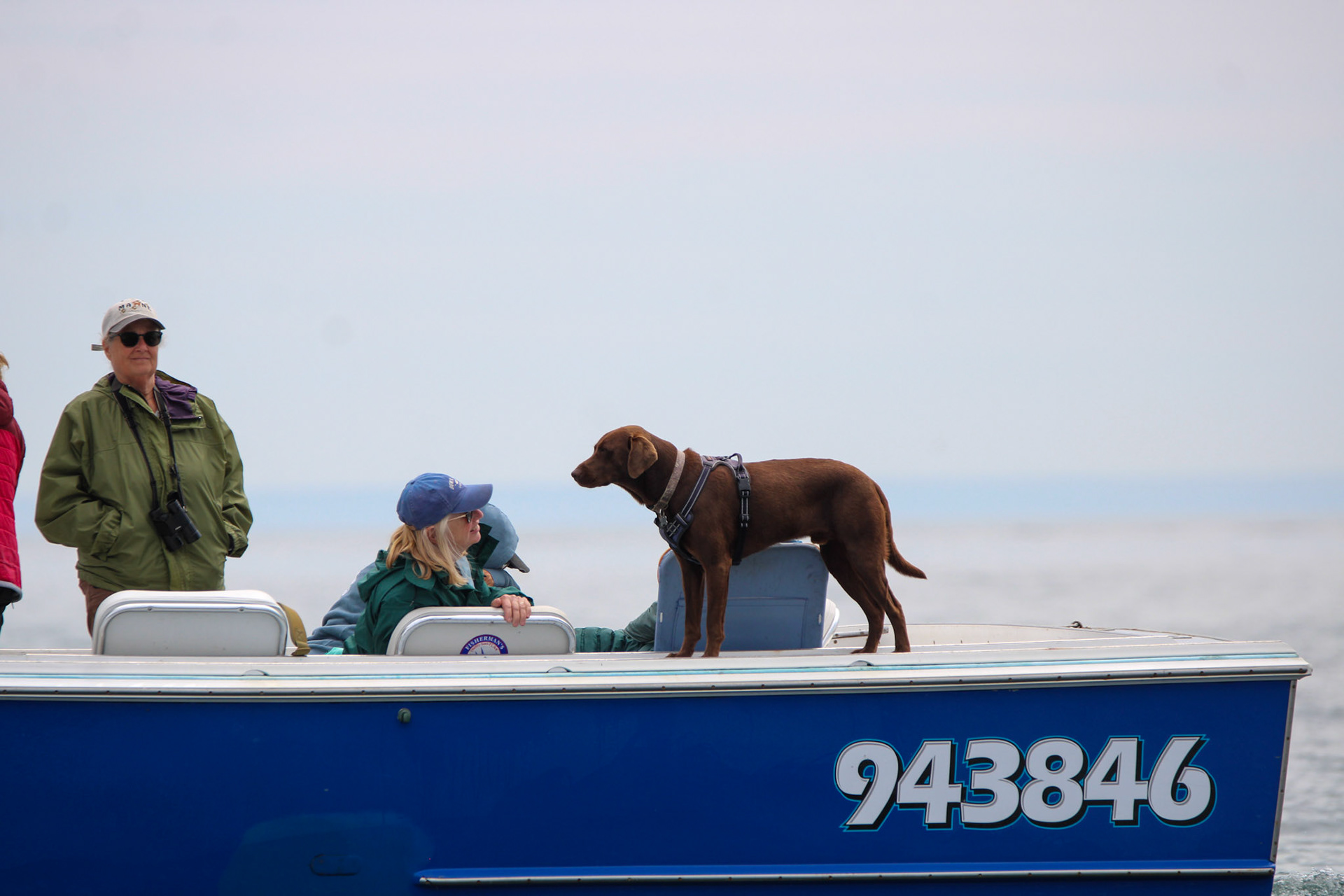 Boaters by Ryan