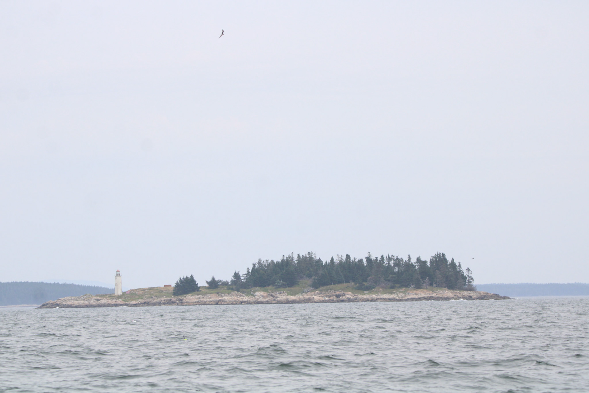 Light House by Ryan