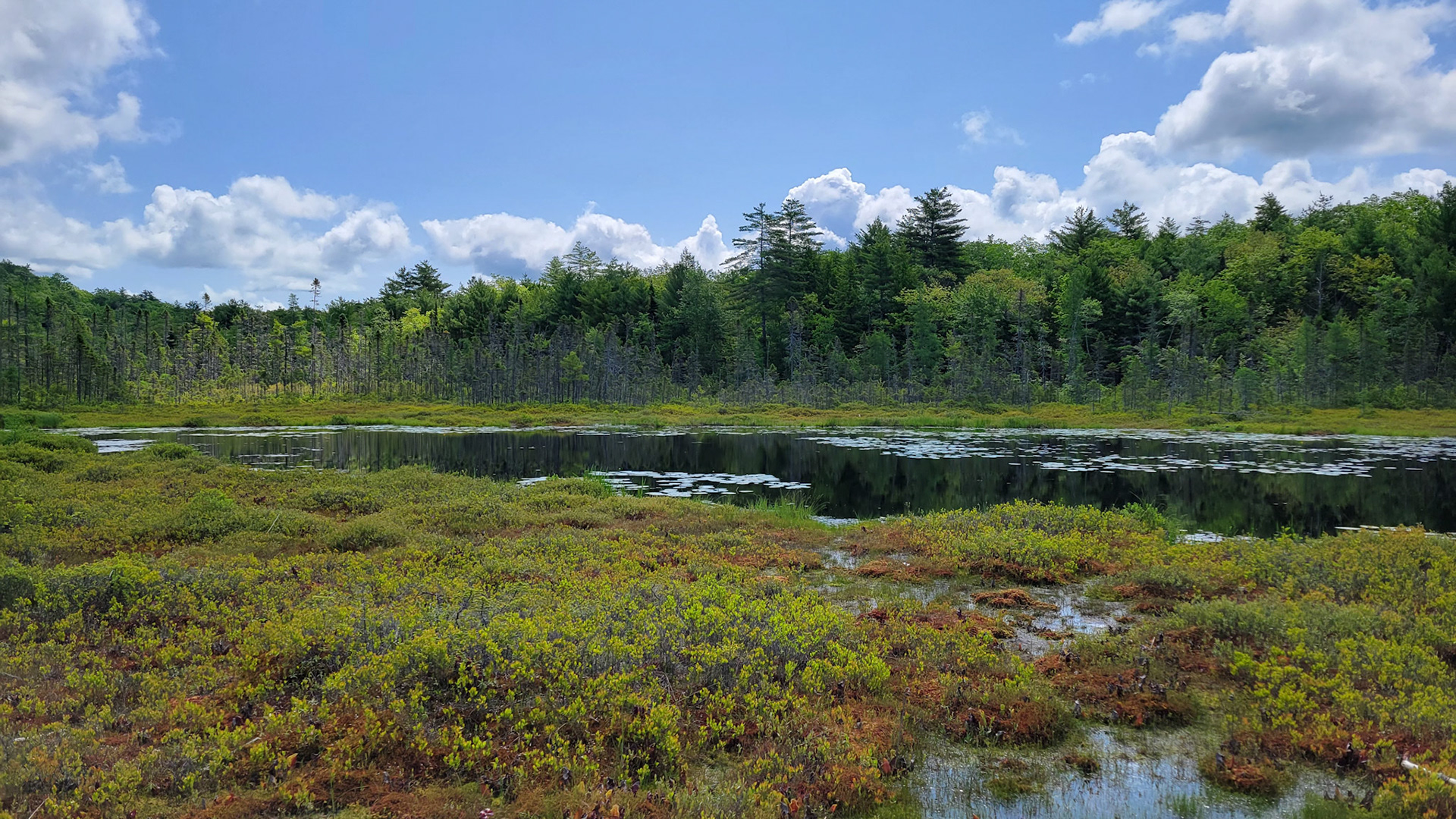 Hidden Valley Nature Center - Maine