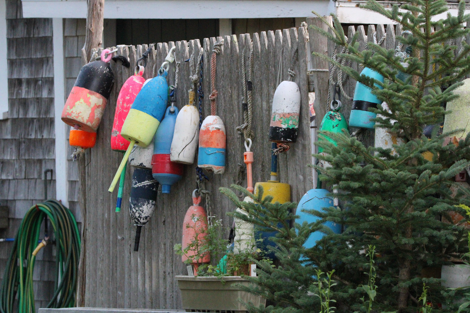 Lobster Bouy by Ryan