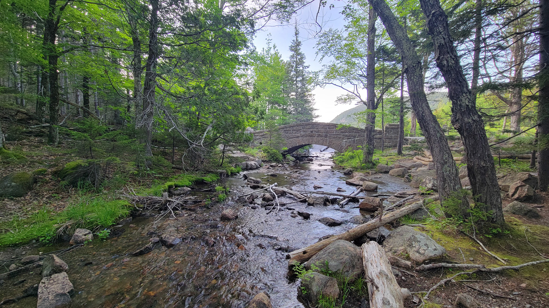 Jordan Pond in Acadia National Park
