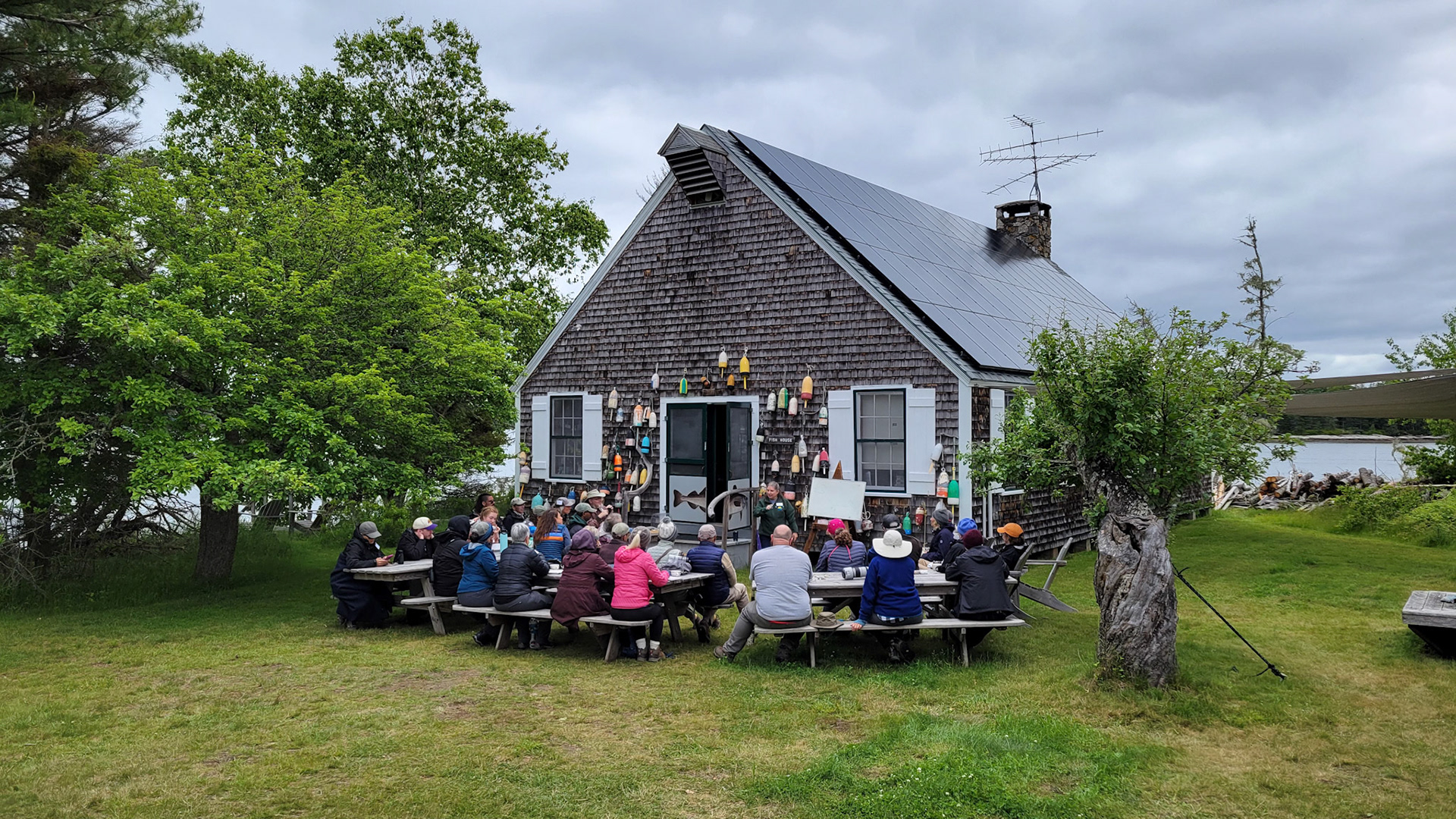 Hog Island - Fish House 