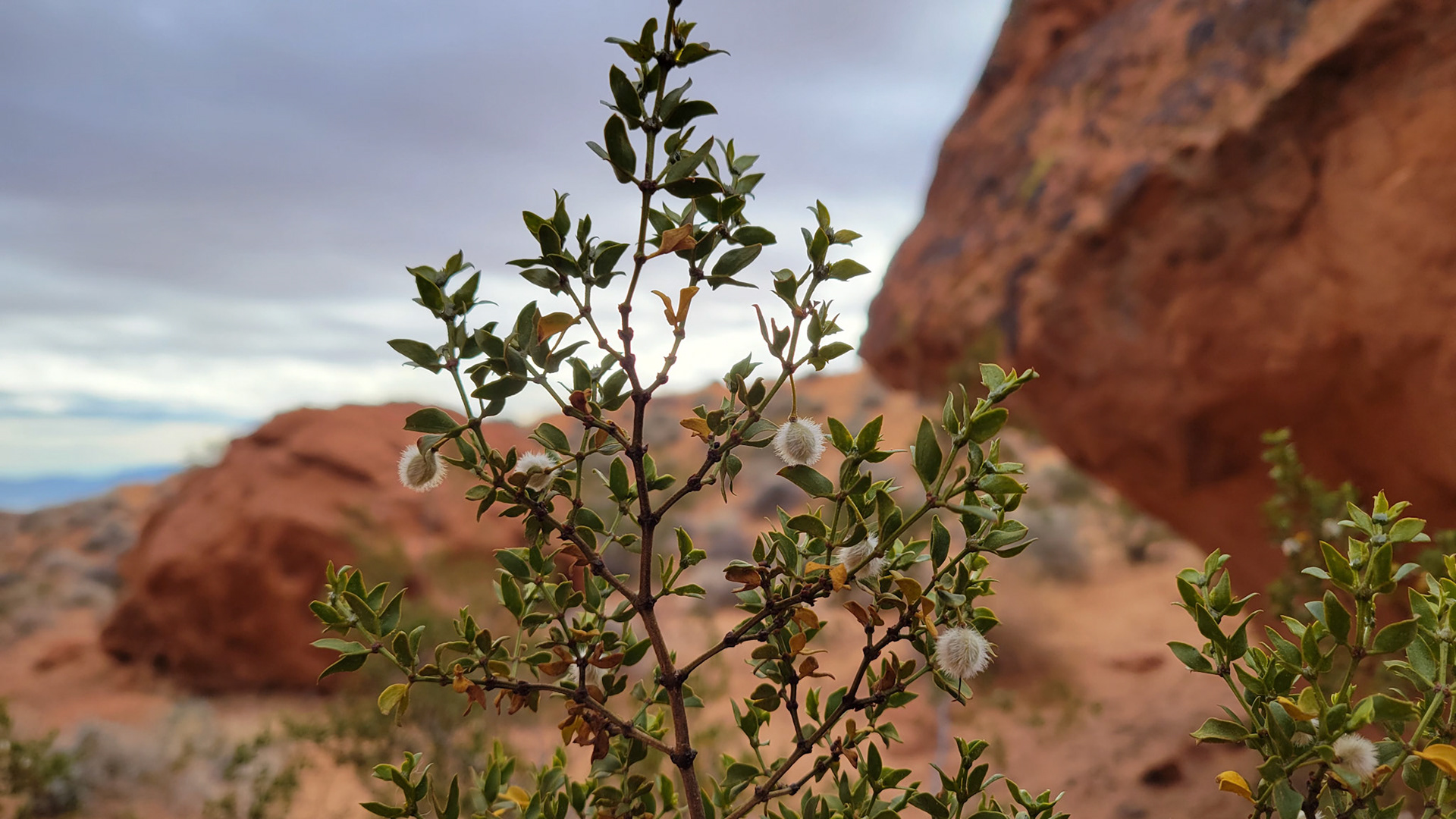 Valley of Fire