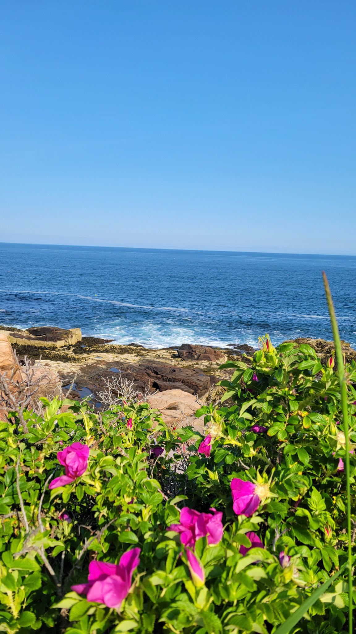Acadia National Park, Maine