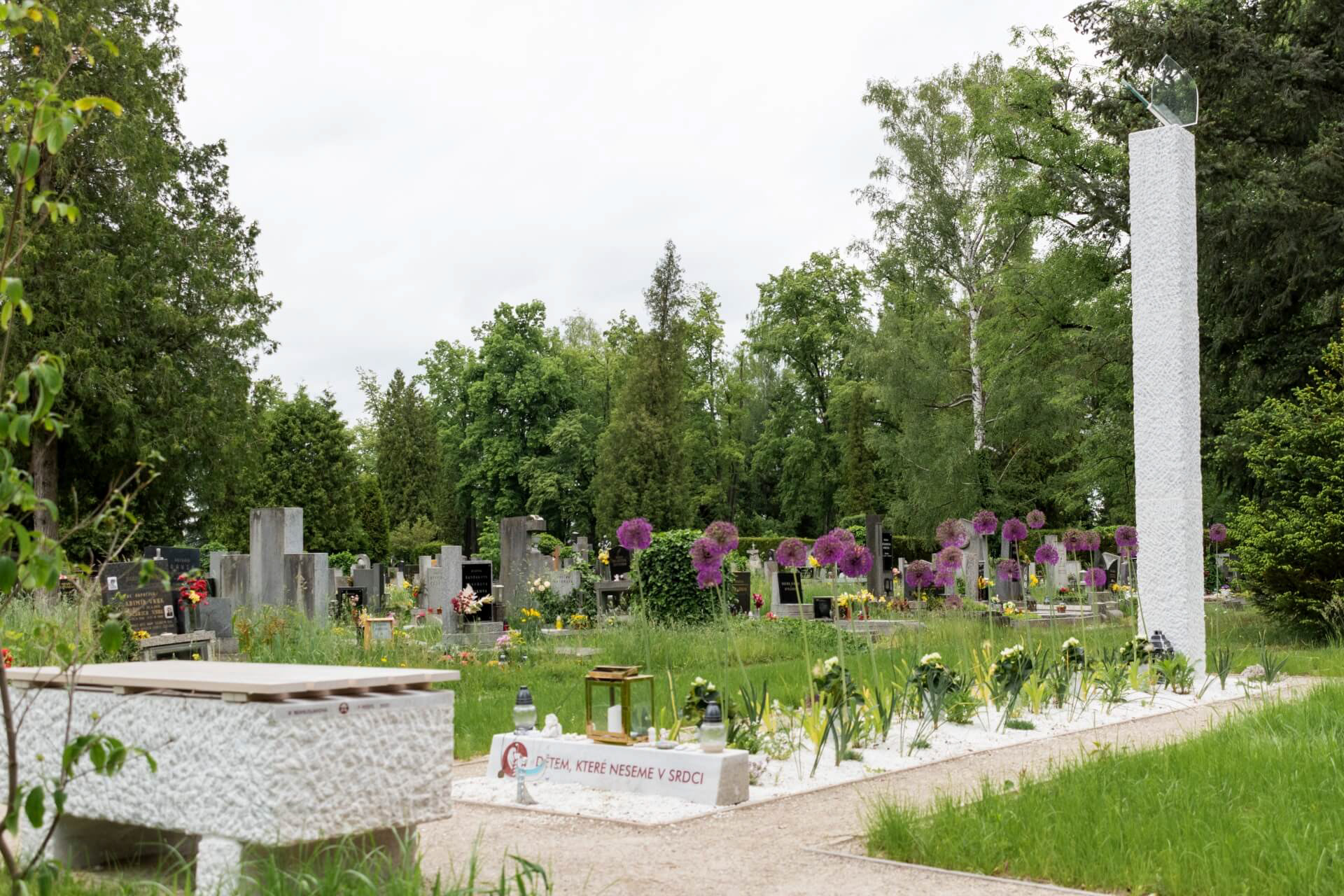 Socha 06