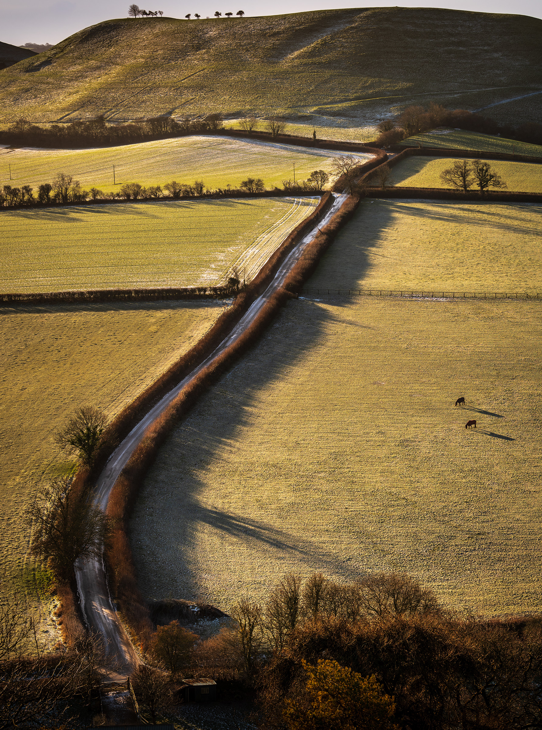 Cadbury, Dorset