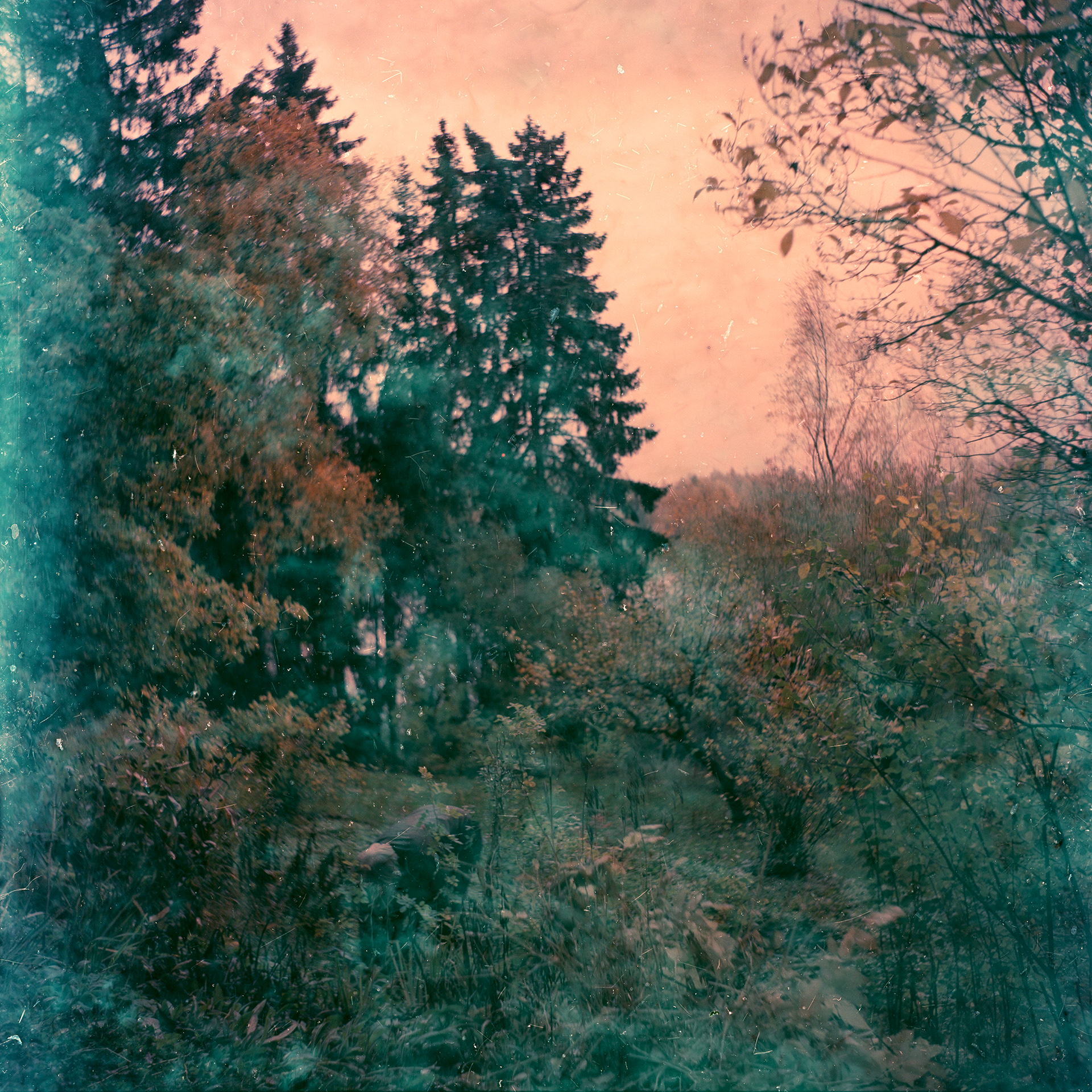 Hidden