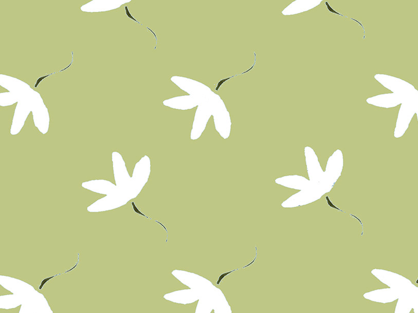 Windflower Lime
