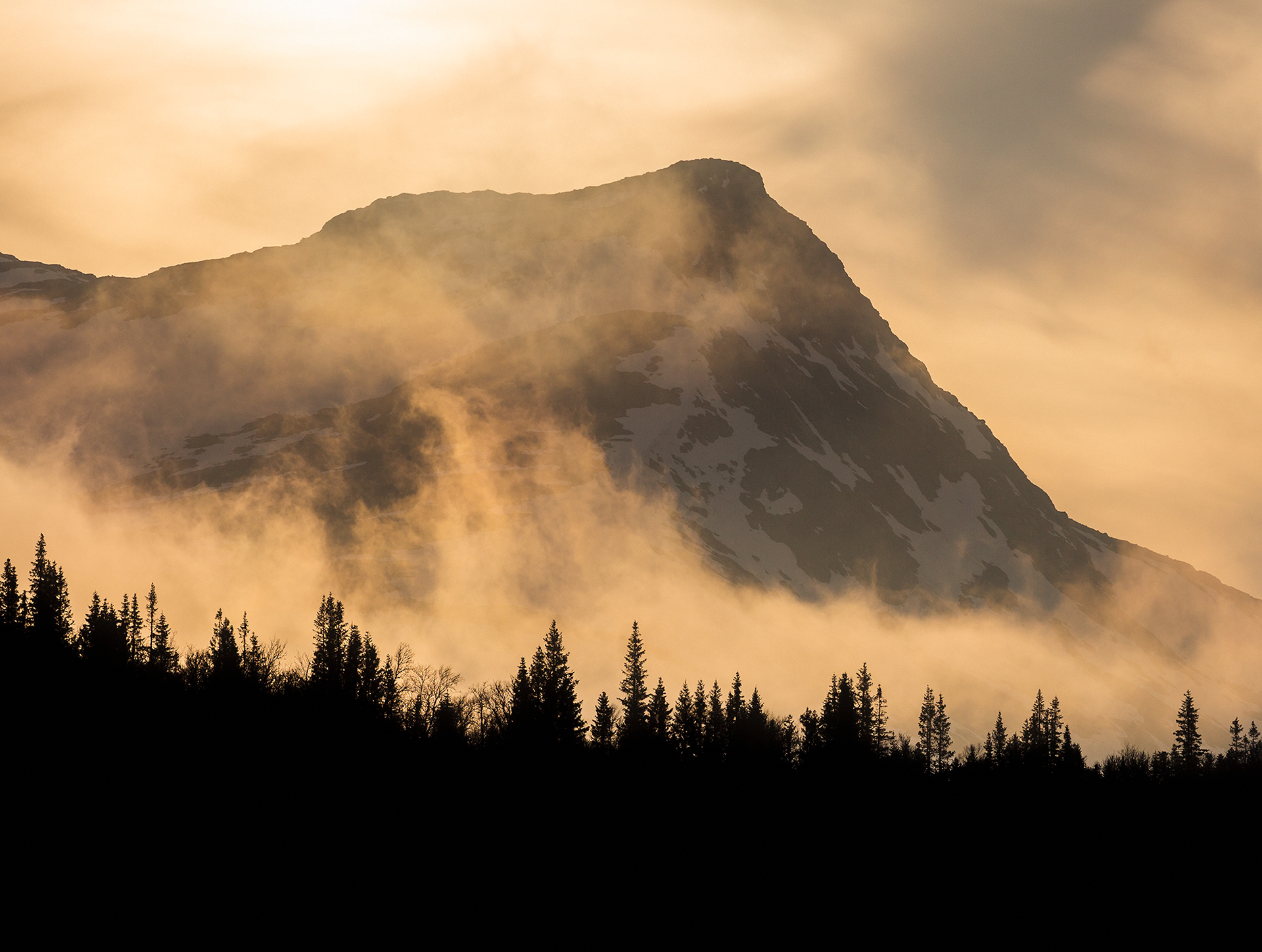 Gult Berg