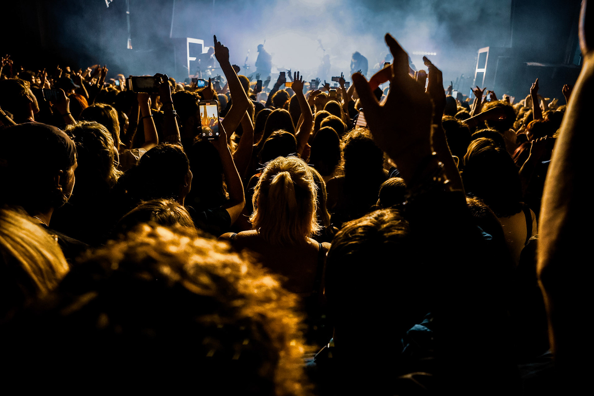 djo crowd