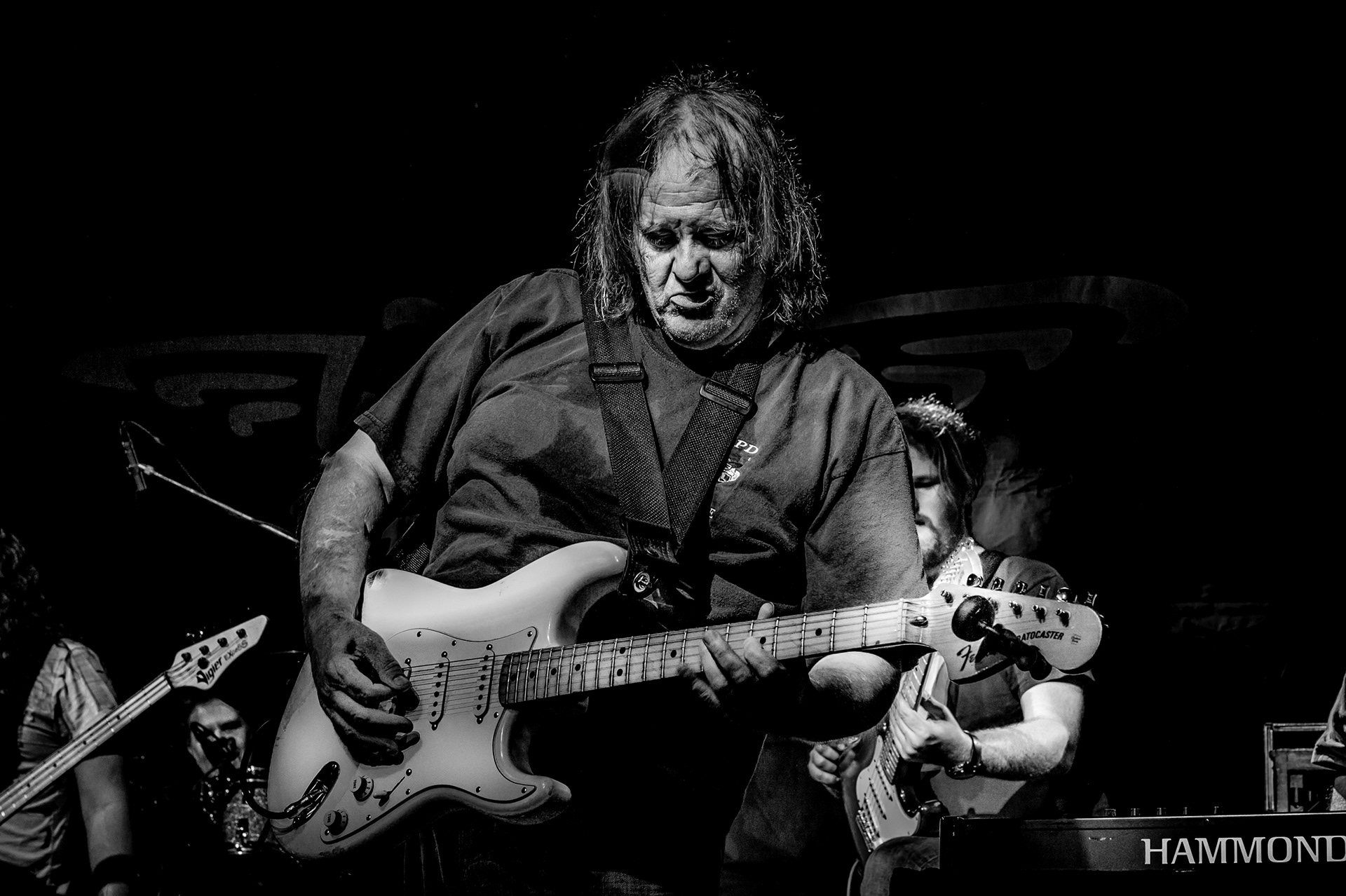 Walter Trout, 2017