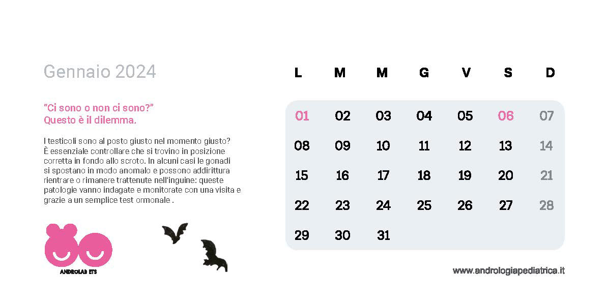 Layout pagine interne
