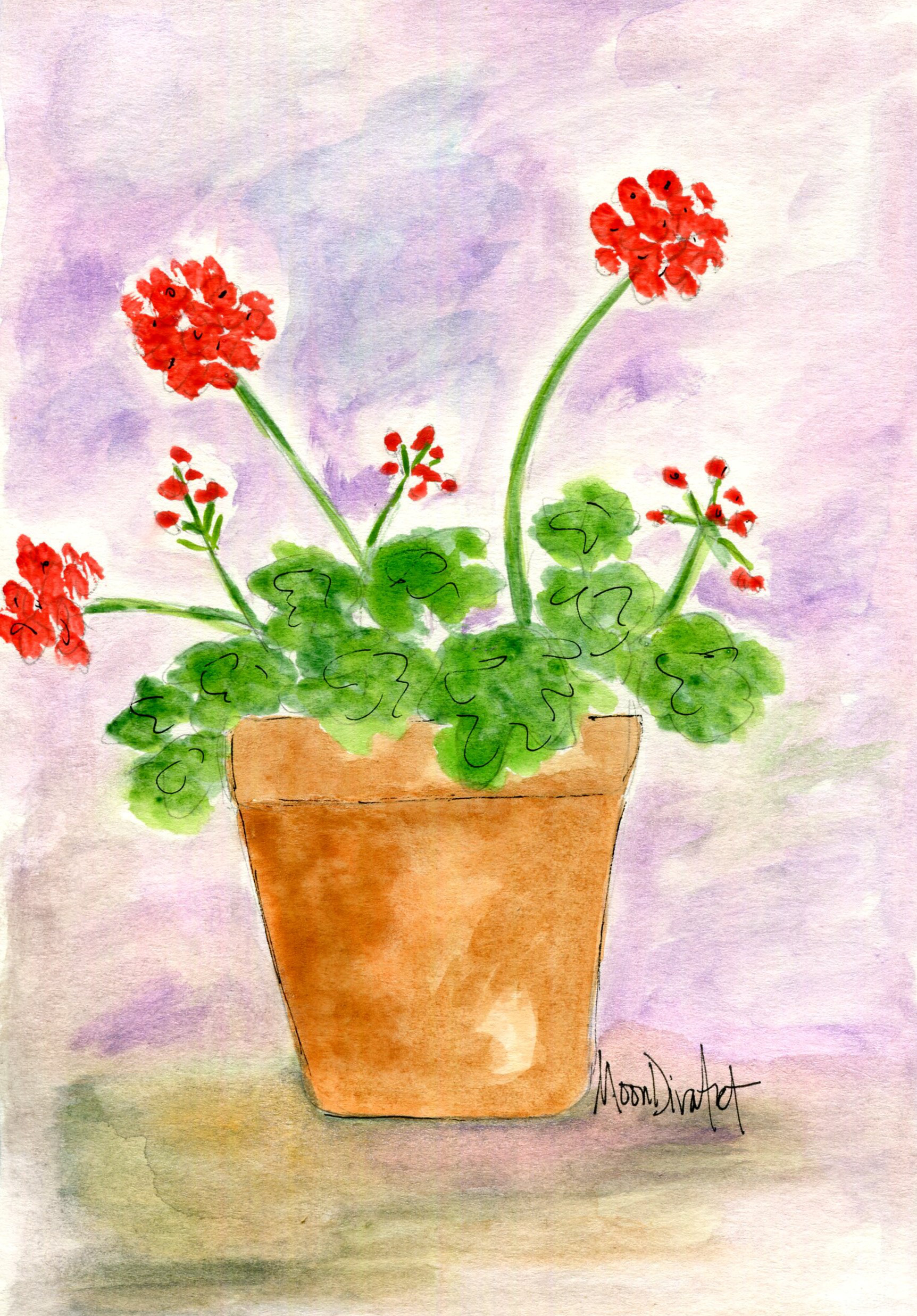 Geraniums - watercolor