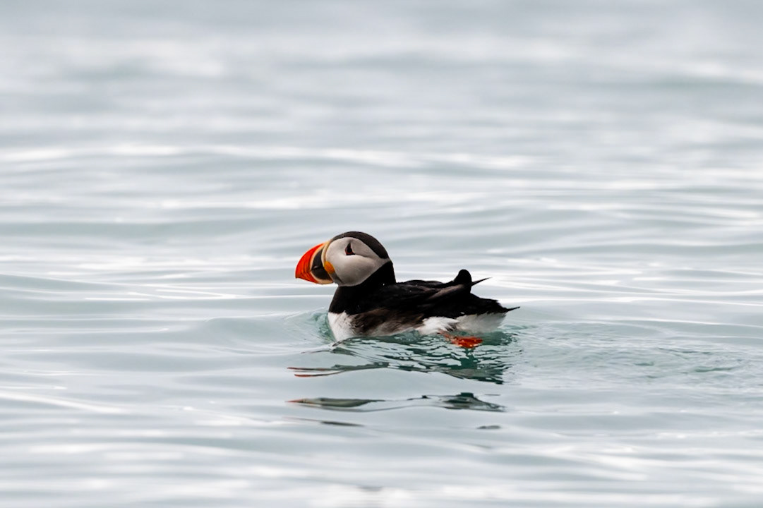Svalbard