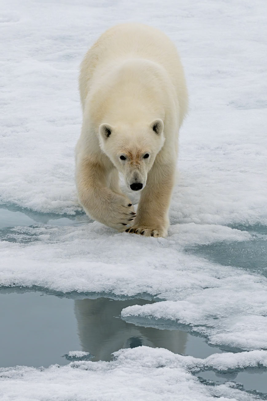 Svalbard