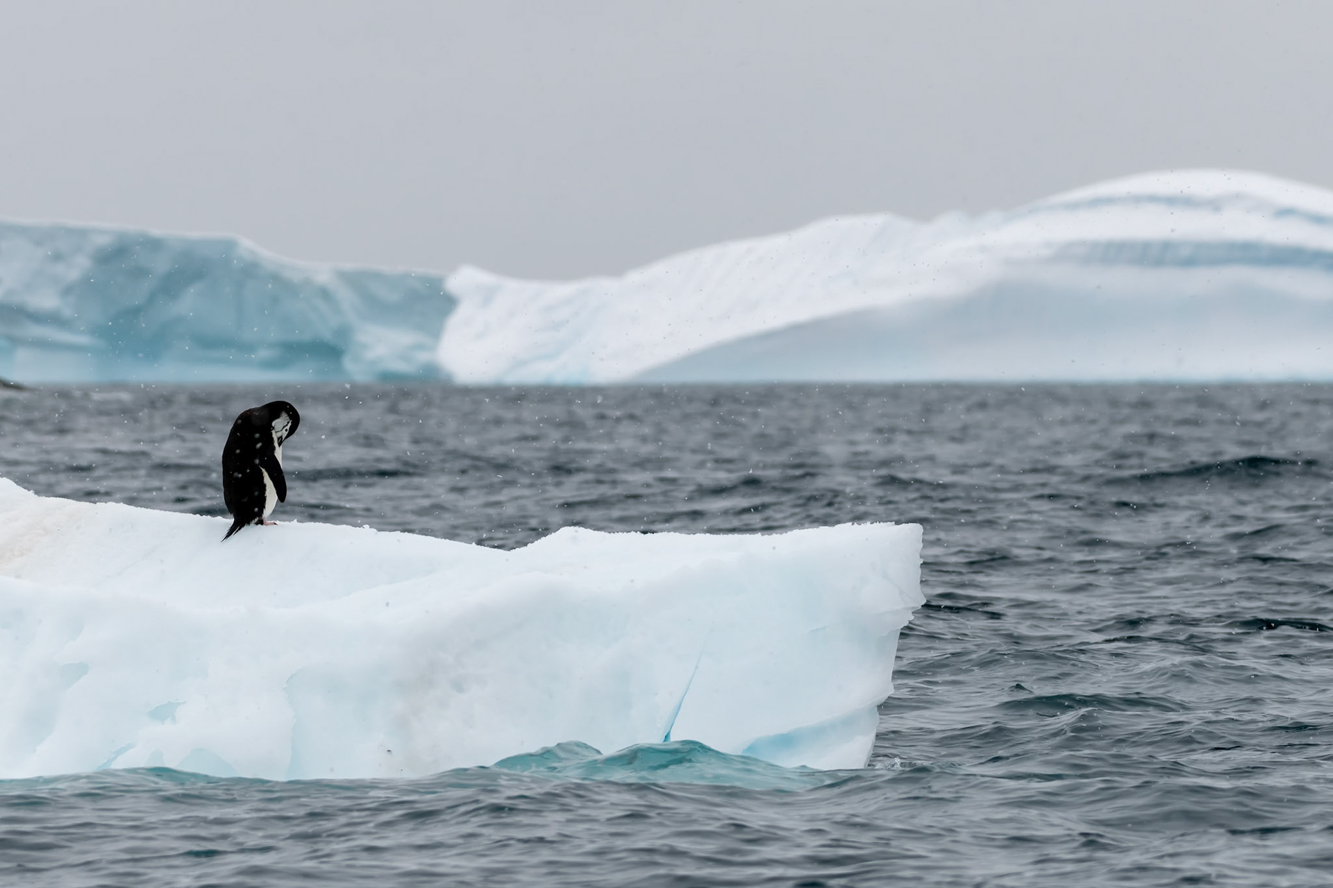 Grinder rocks, Antarctica
