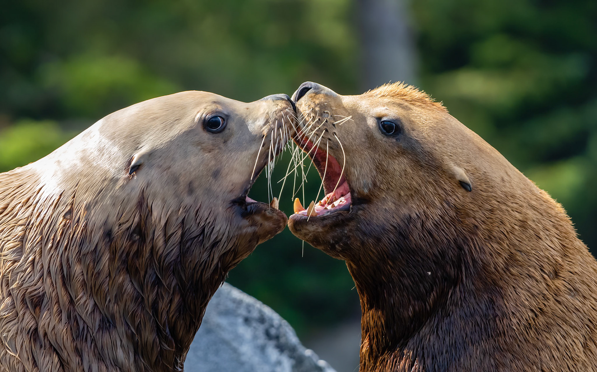 Barkley Sound, British Columbia