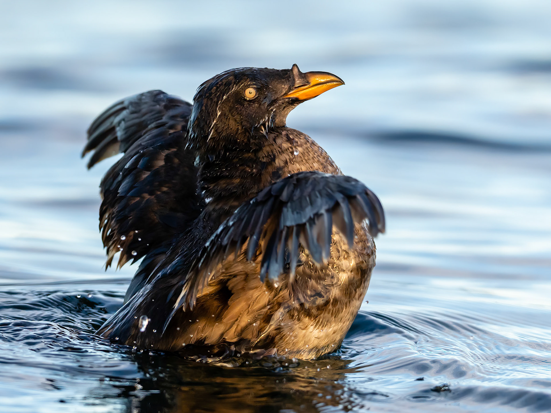 Barkley Sound, British Columbia