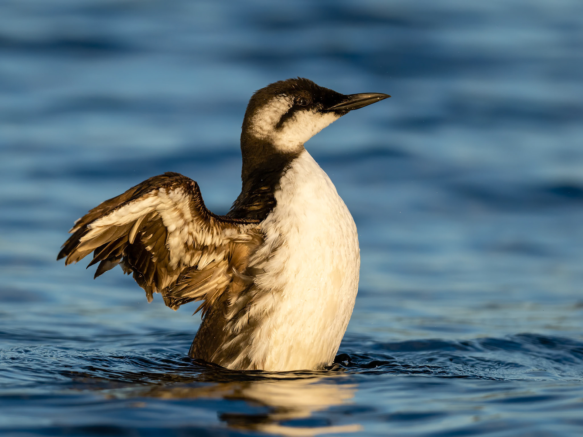 Barkley Sound, British Columbia