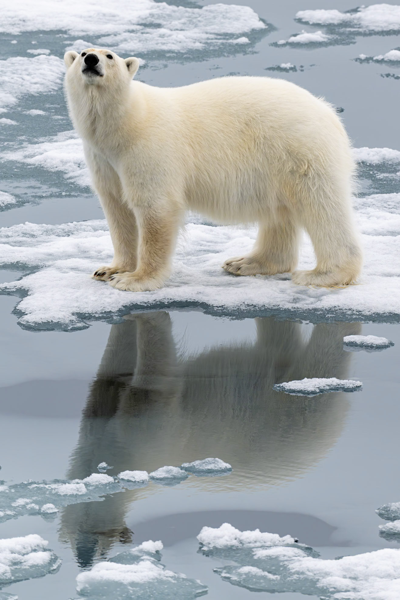 Svalbard