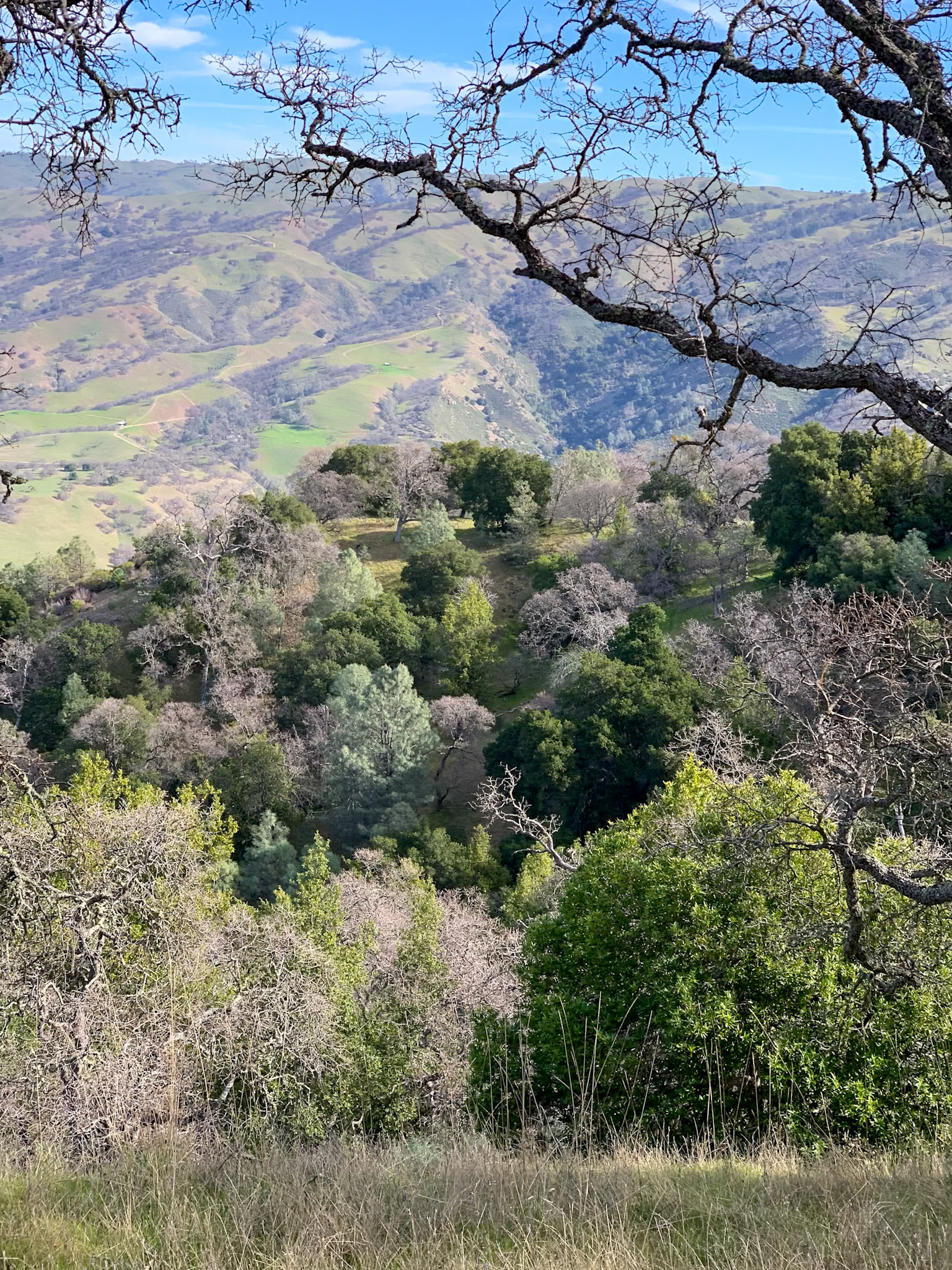 Ohlone WIlderness, CA