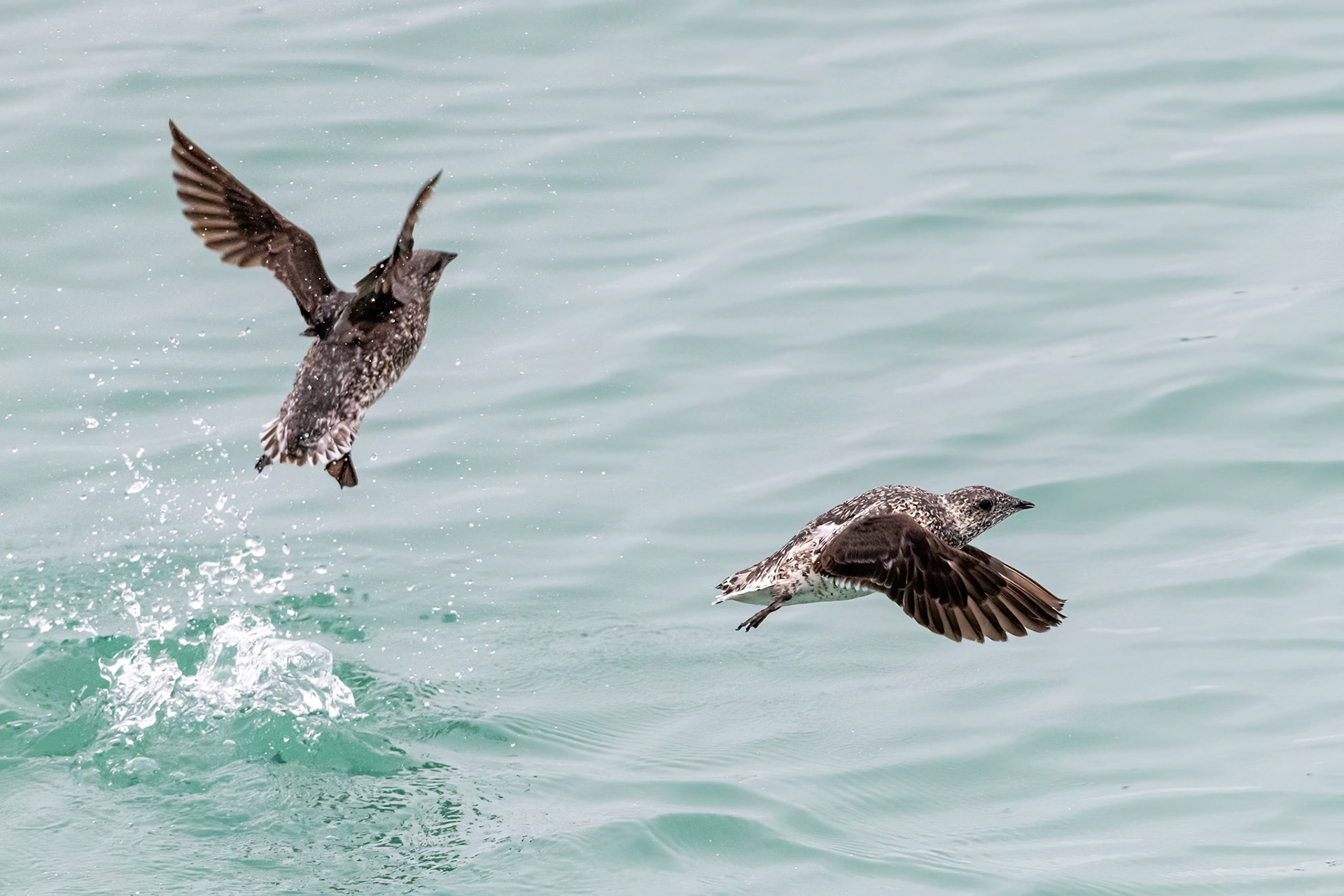 Glacier Bay National Park, AK