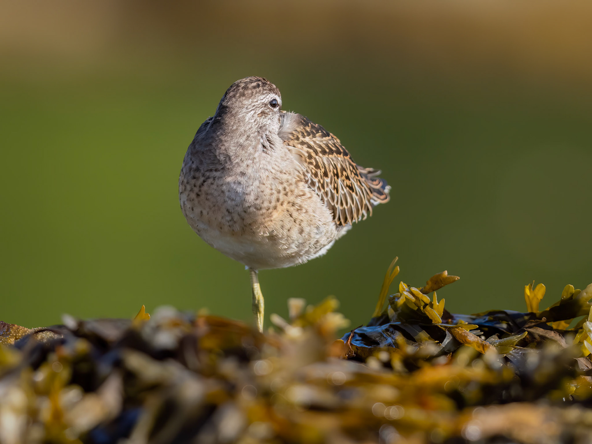 Barkley Sound, British Columbia