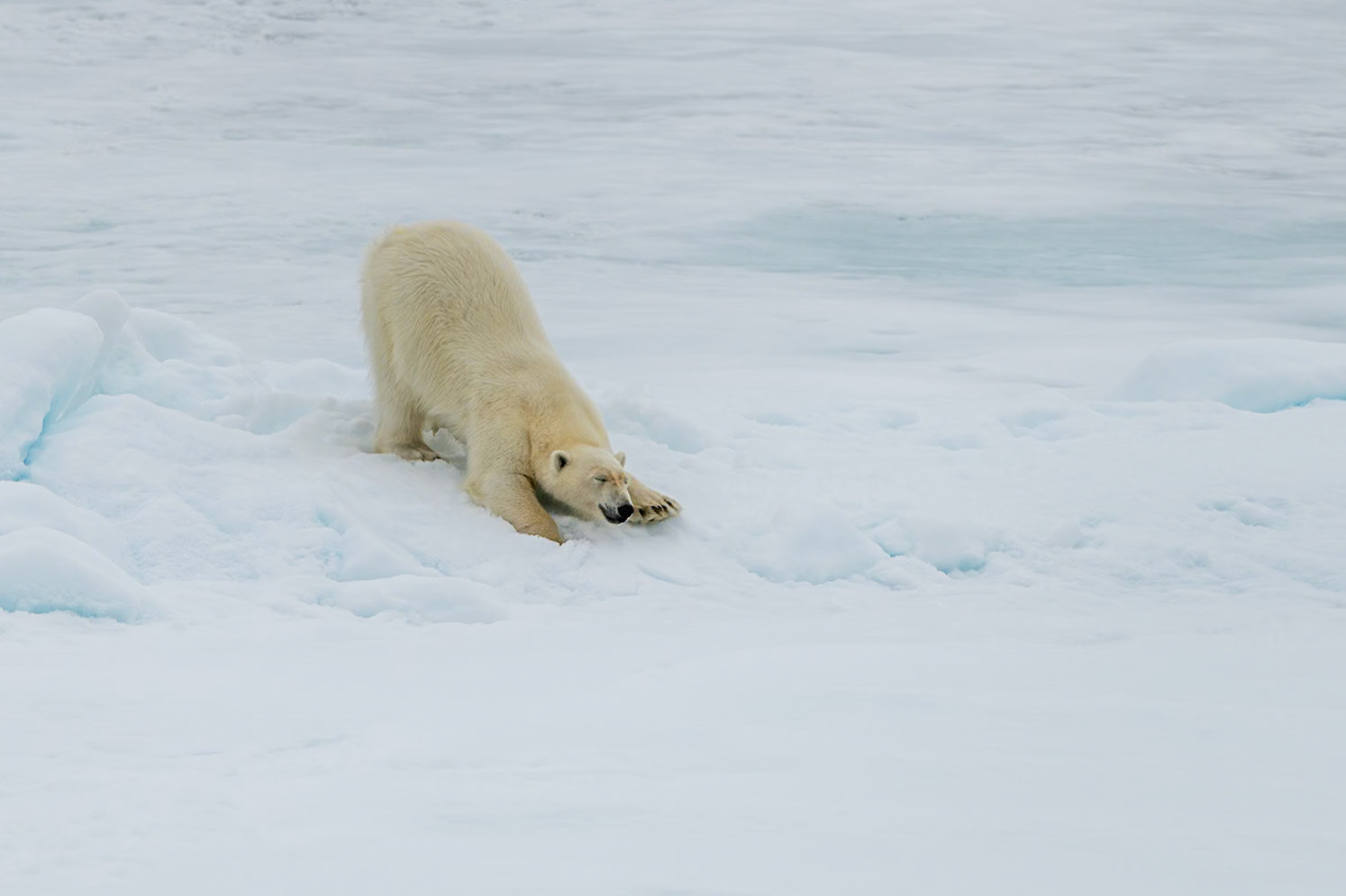 Svalbard