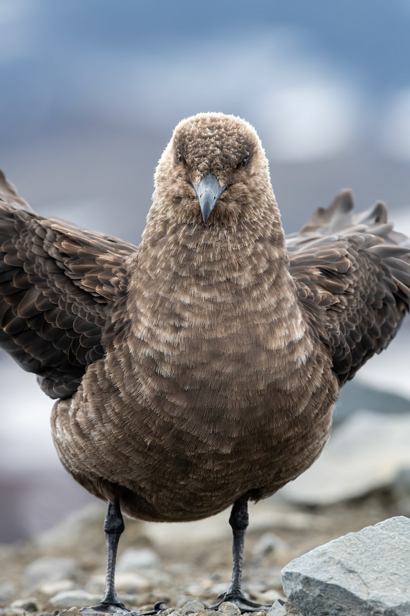 Deception Island, Antarctica