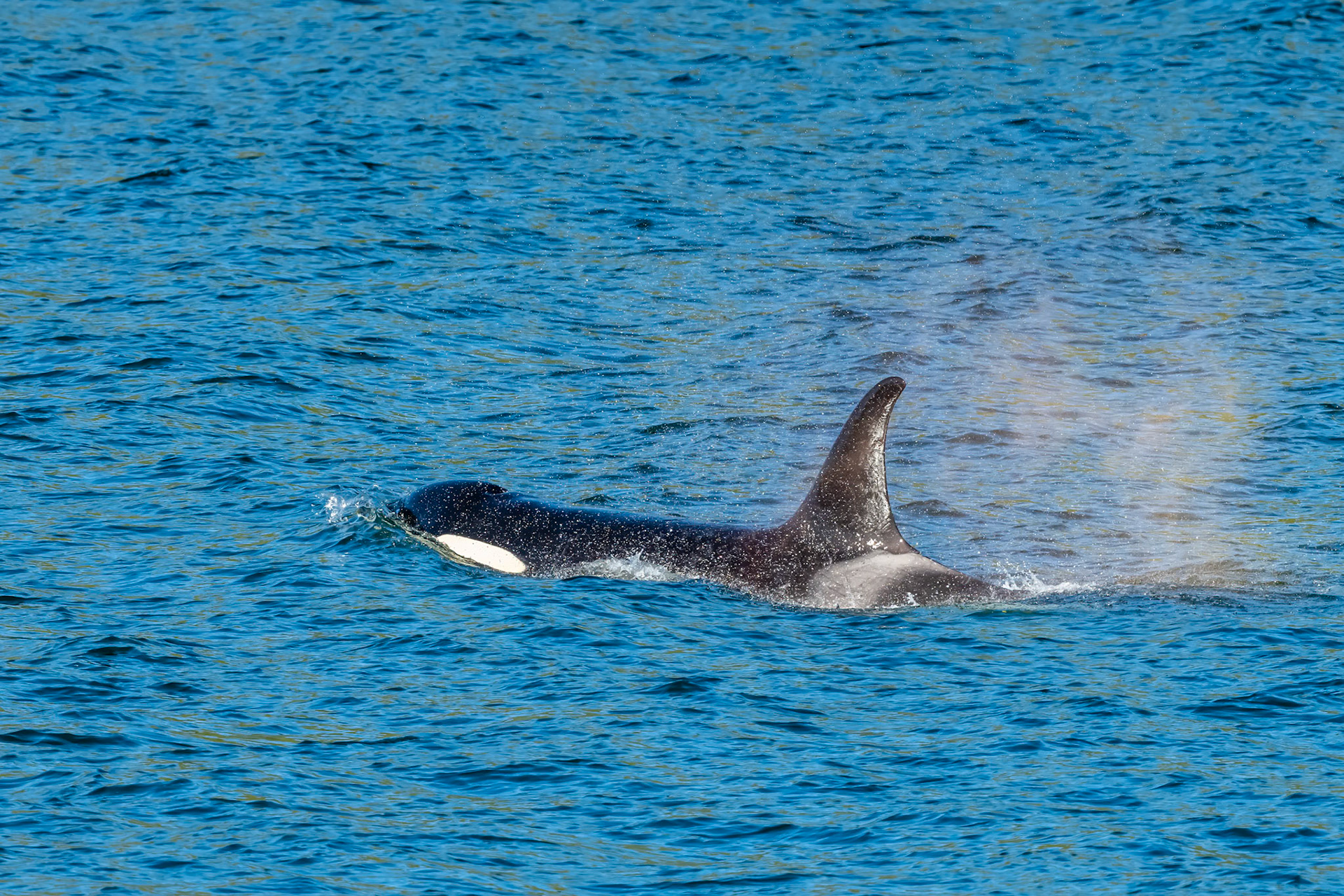 Grenville Channel, BC