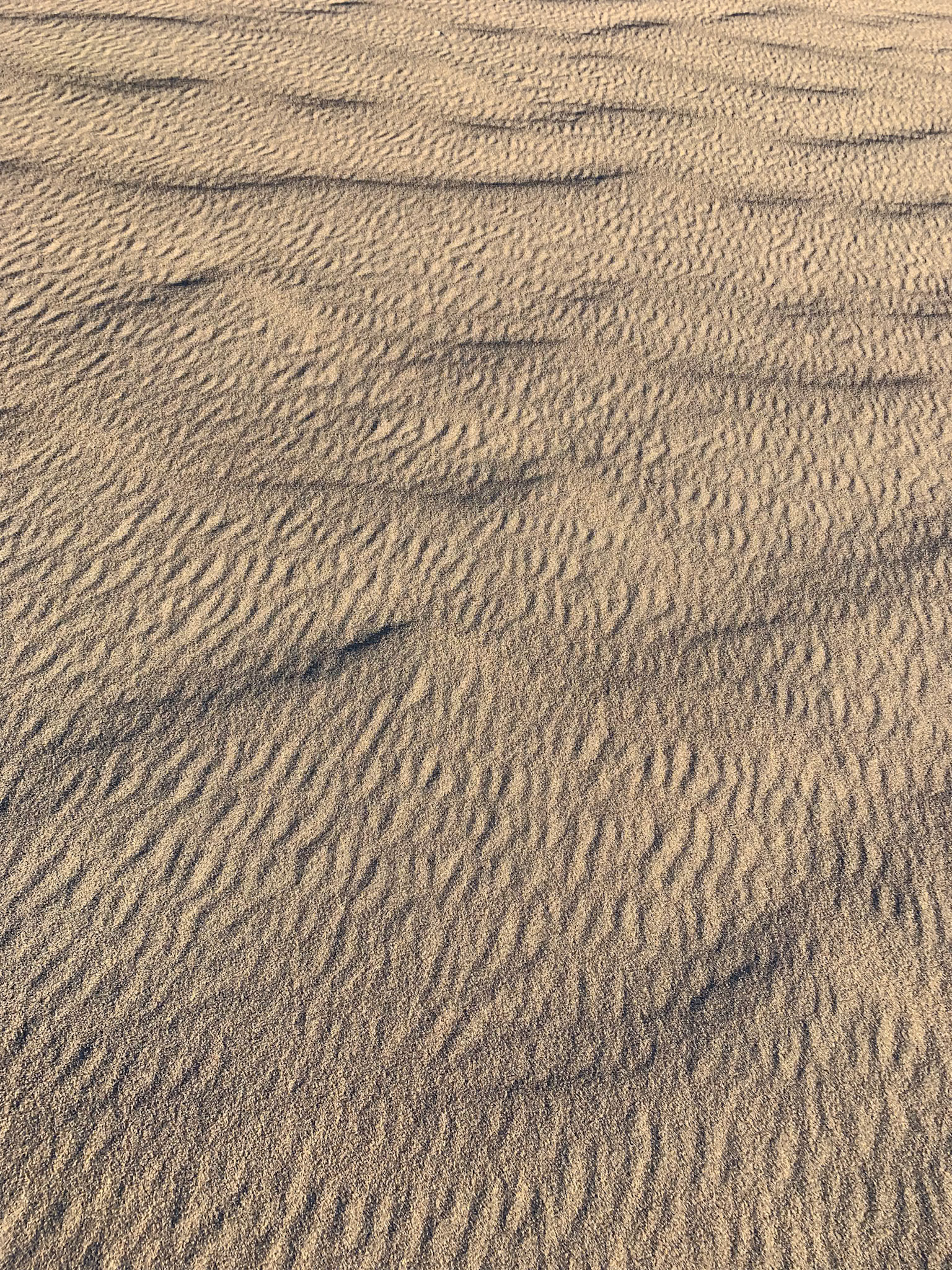 Death Valley National Park, CA