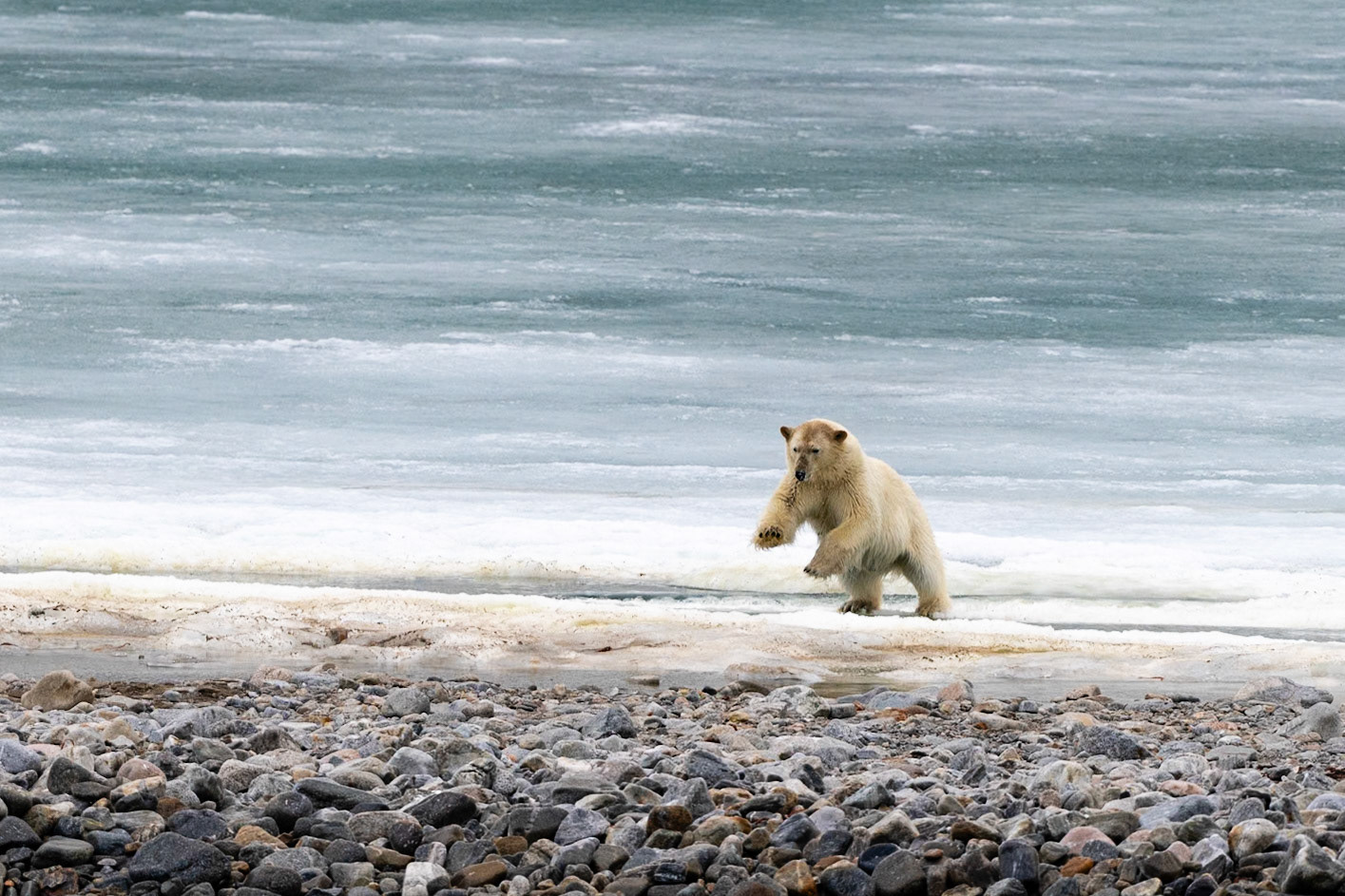 Svalbard