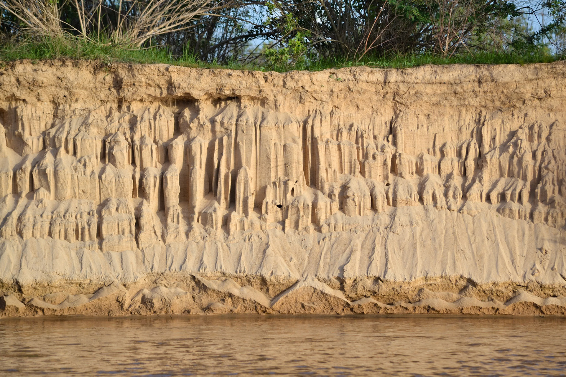 Selous Game Reserve, Tanzania