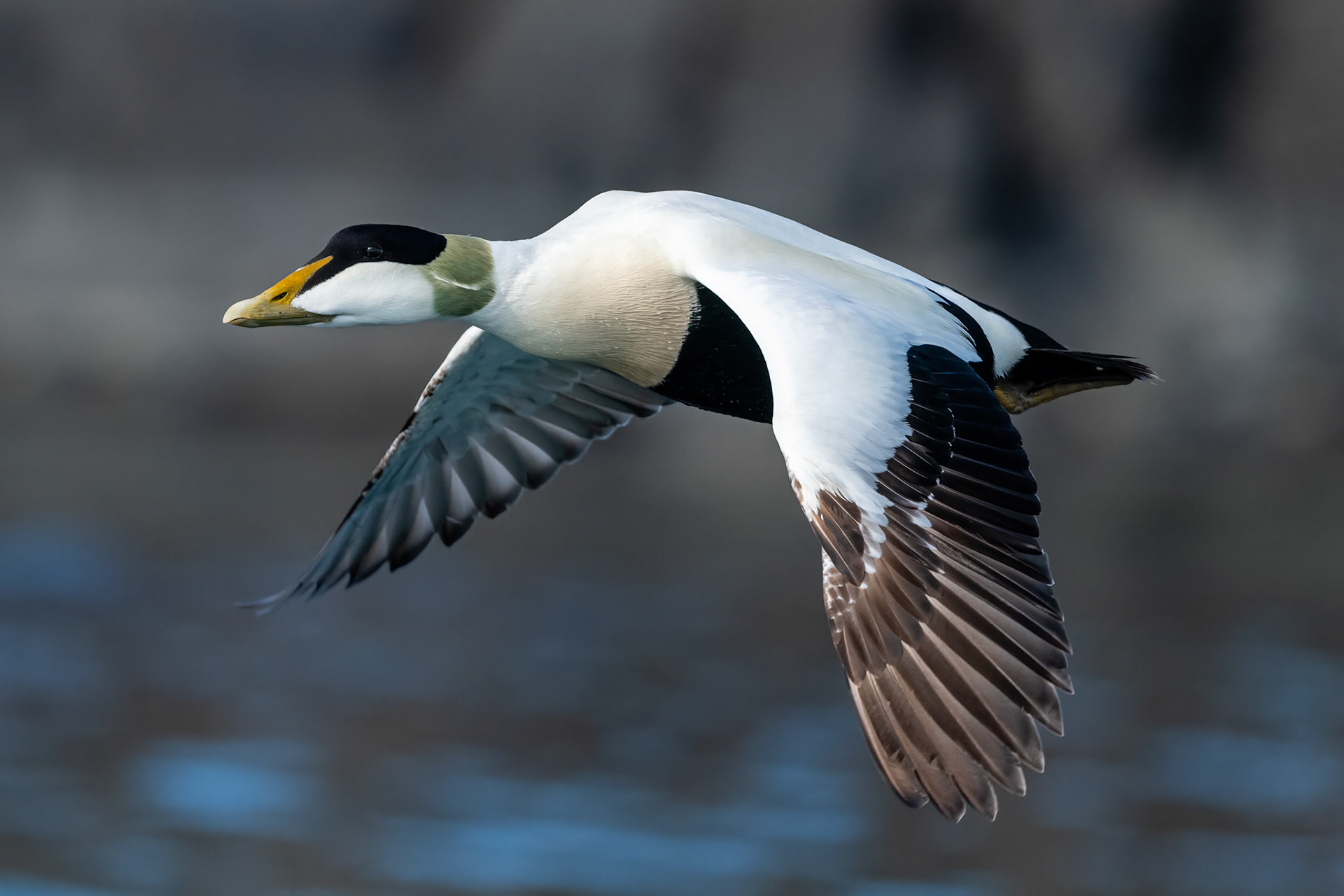 Russebukta, Svalbard