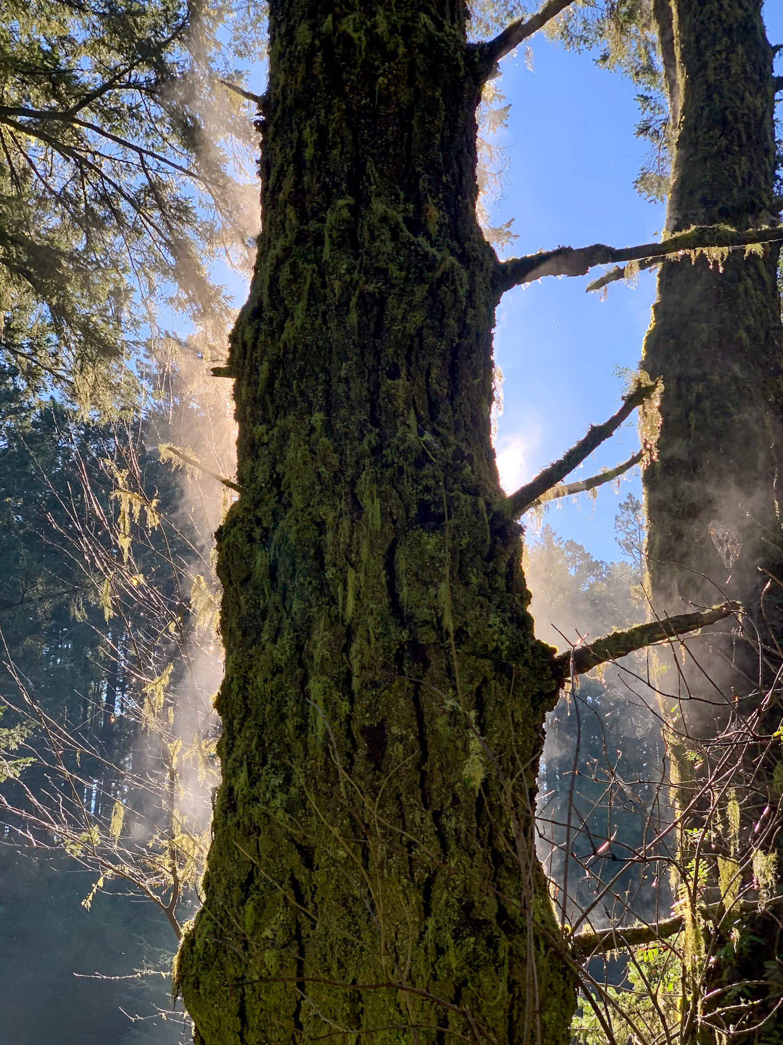 Point Reyes National Seashore, CA