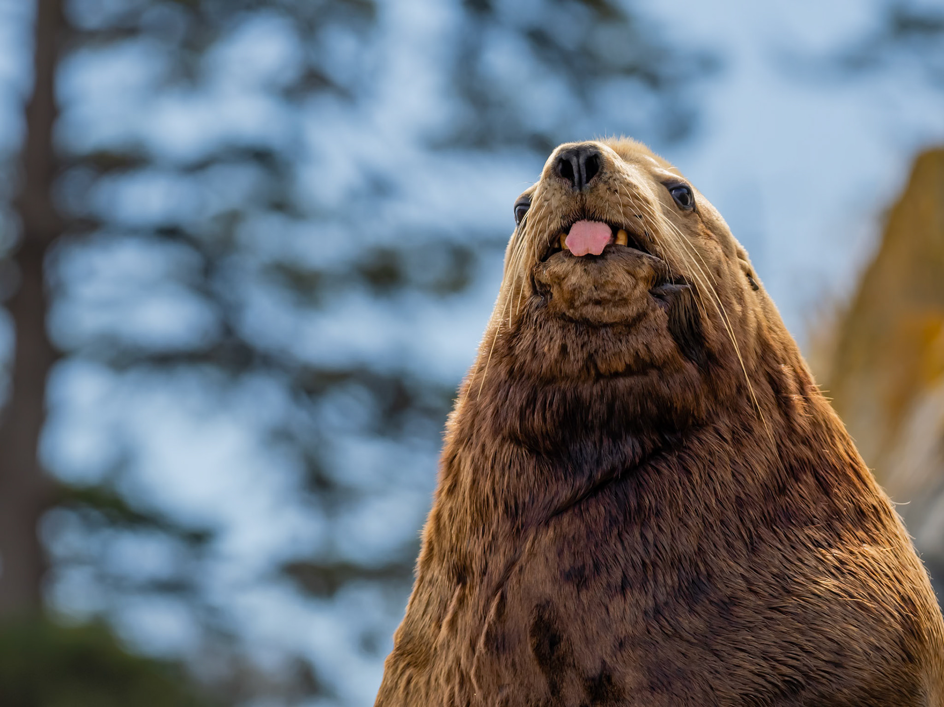 Barkley Sound, British Columbia