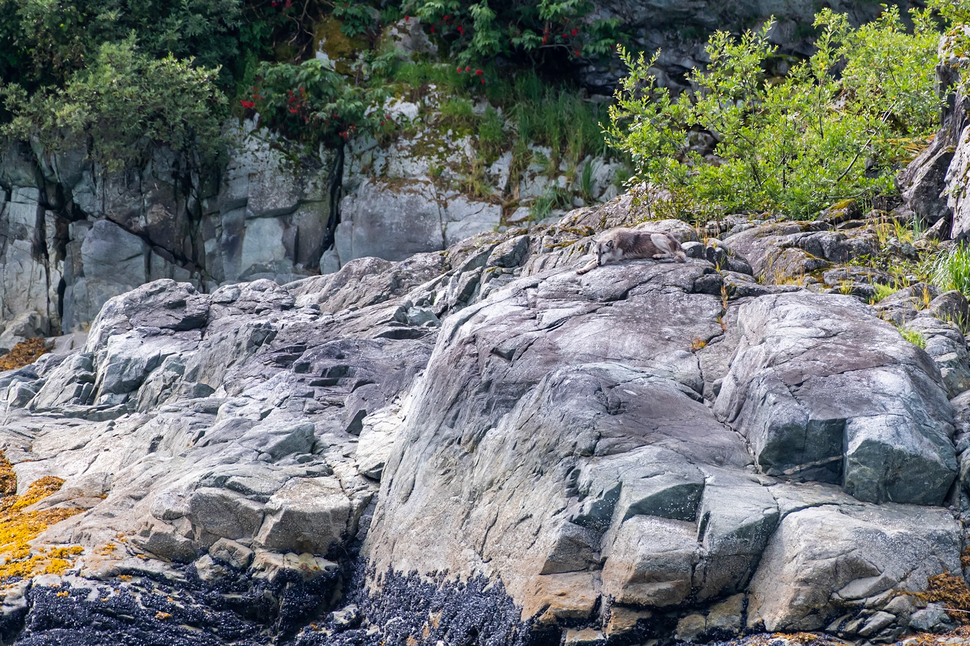 Glacier Bay National Park, AK