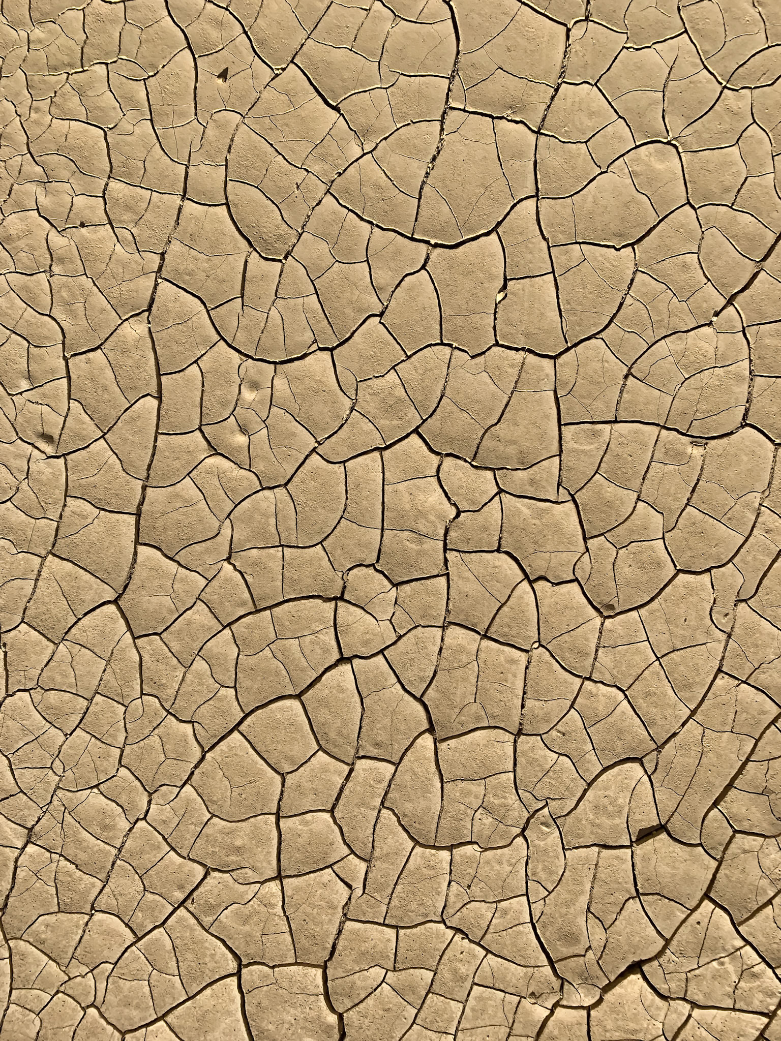 Death Valley National Park, CA