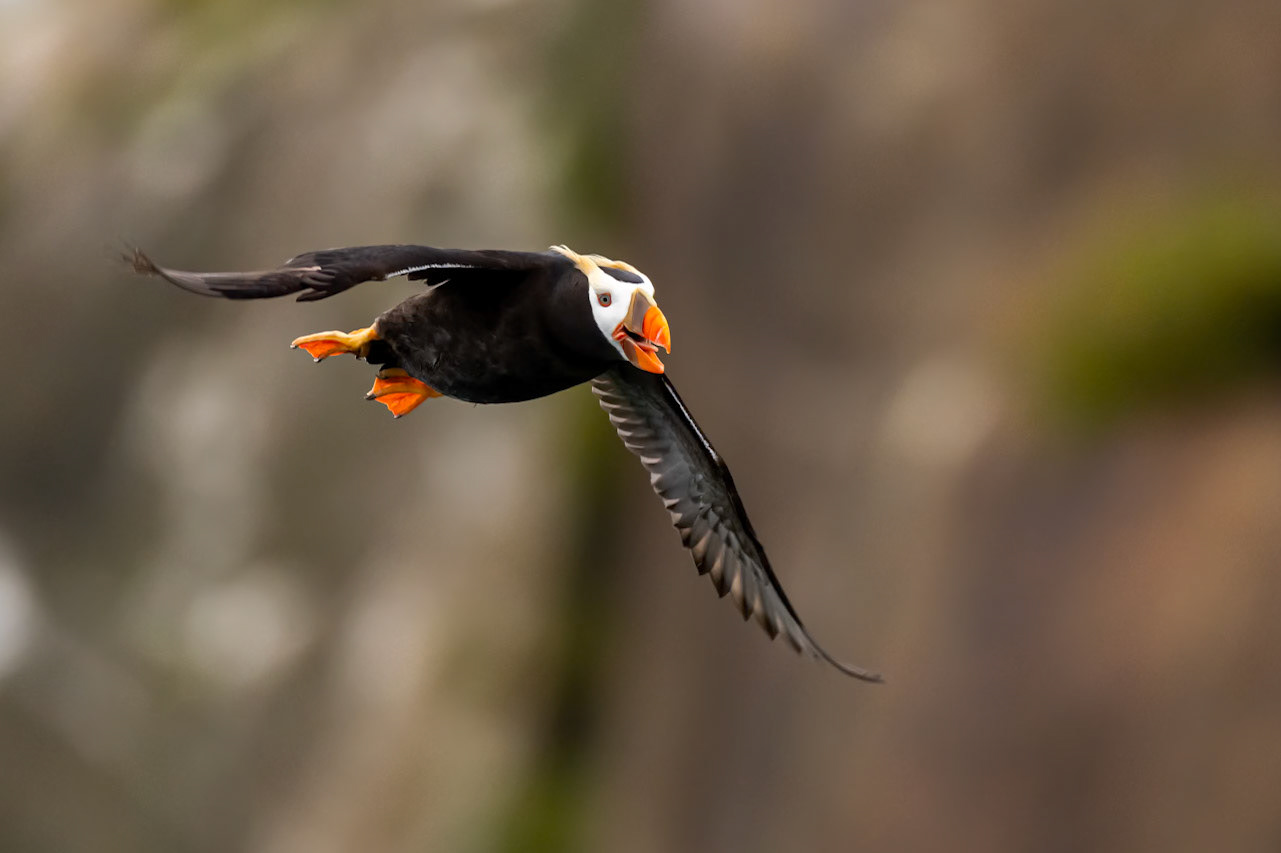 Glacier Bay National Park, AK